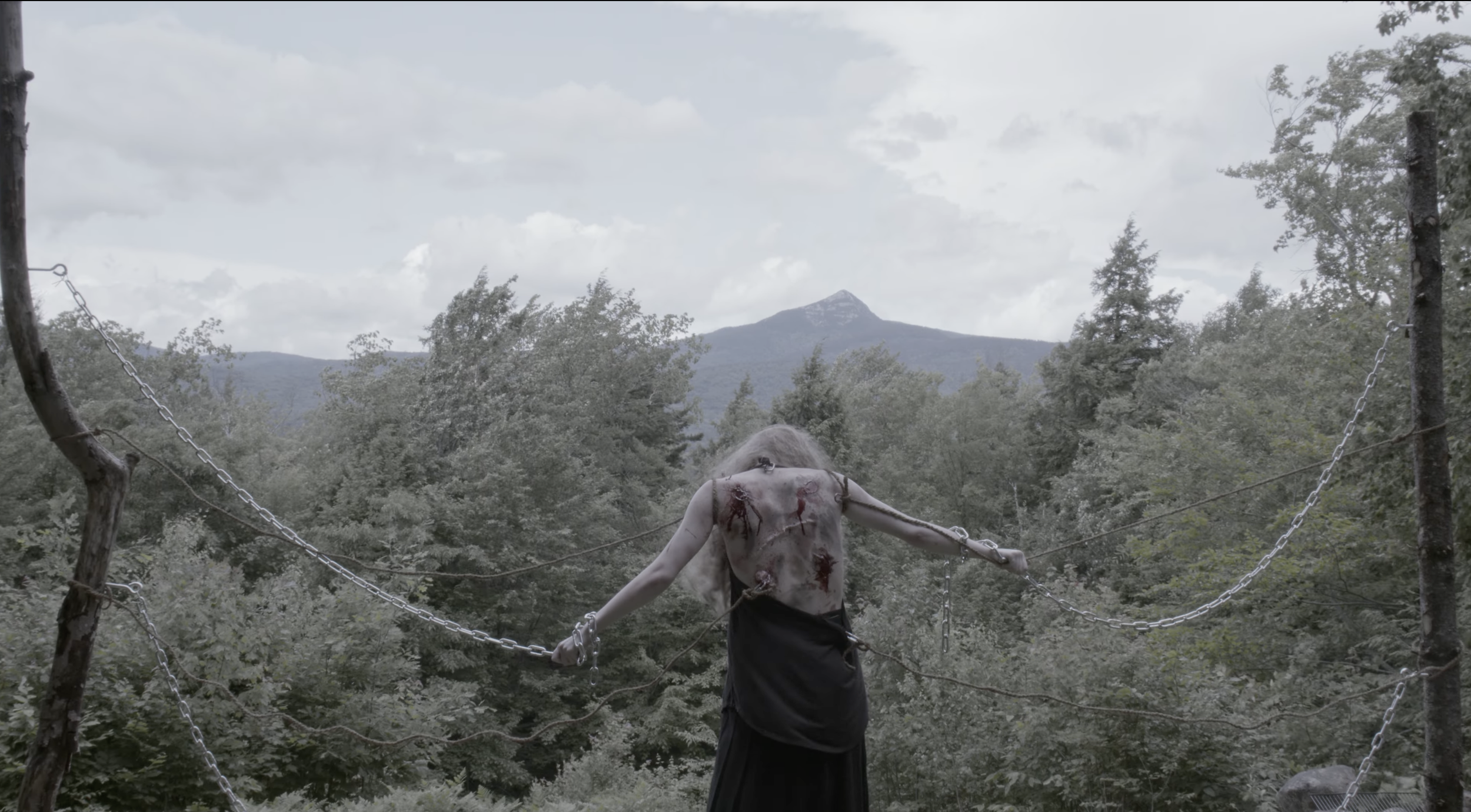 Screenshot 2026-02-20 at 11.31.26 AM.png