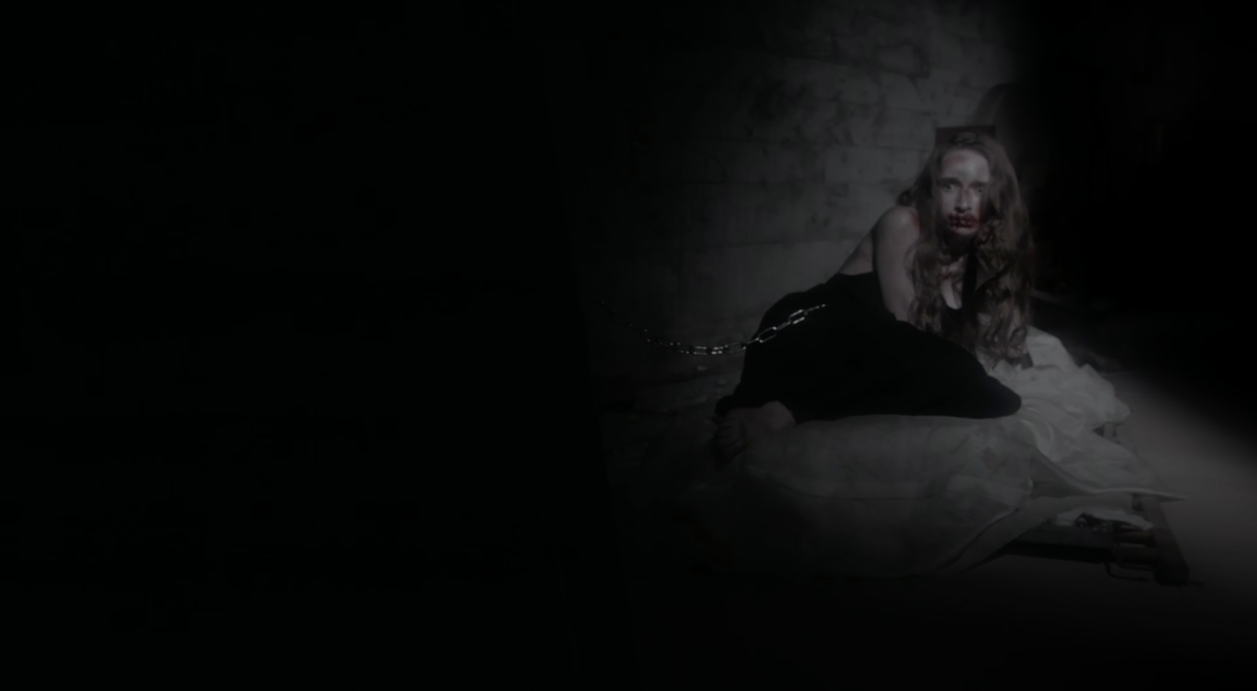 Screenshot 2026-02-20 at 11.37.10 AM.png