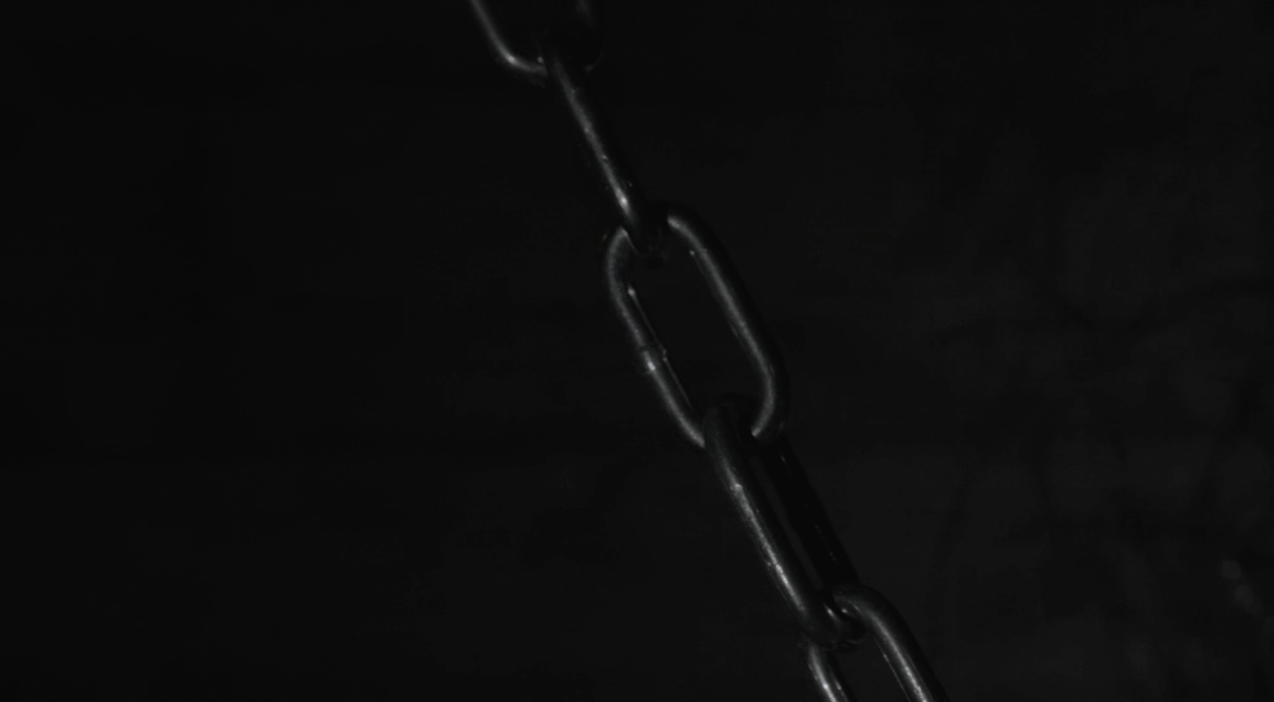 Screenshot 2026-02-20 at 11.17.30 AM.png