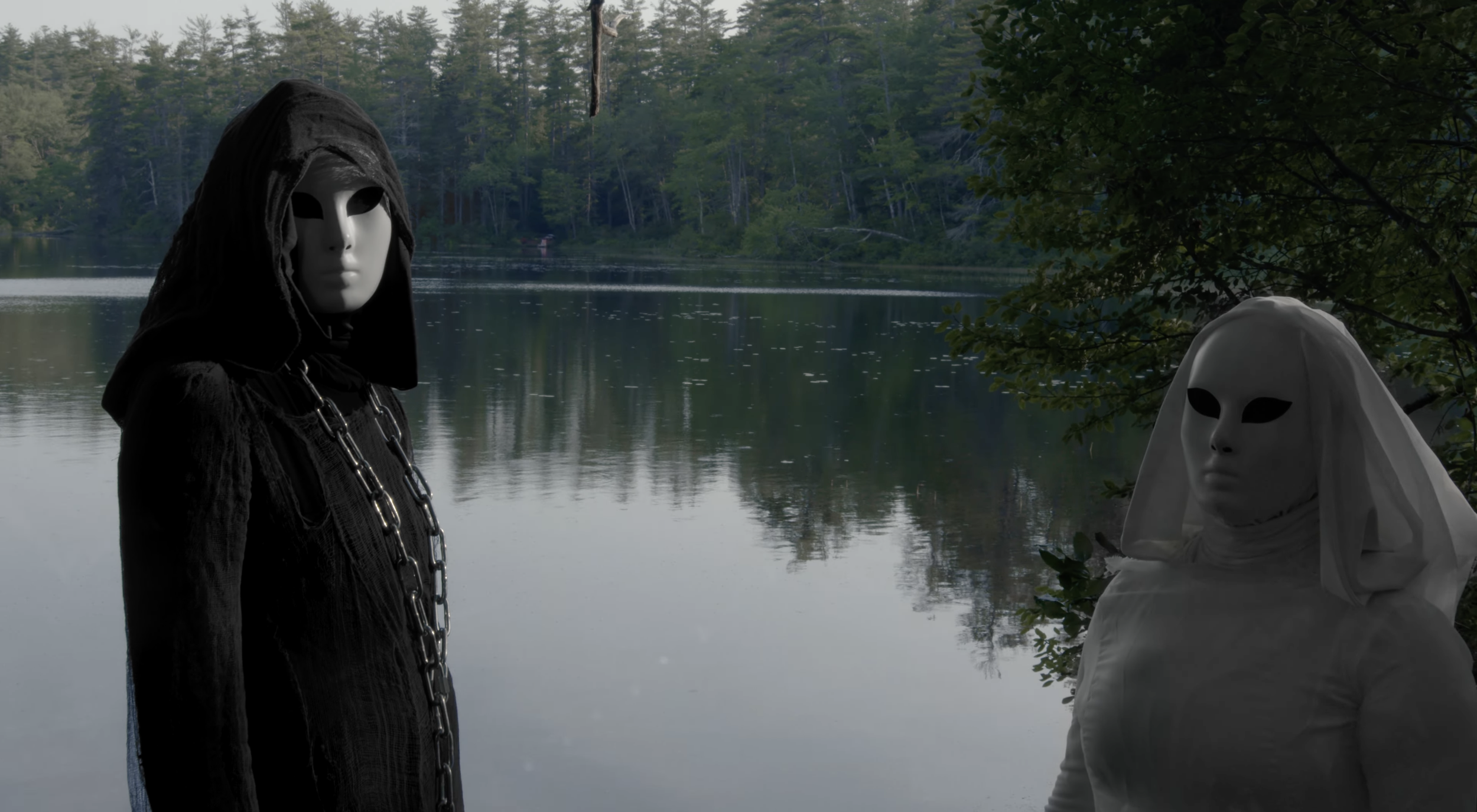 Screenshot 2026-02-20 at 11.31.57 AM.png