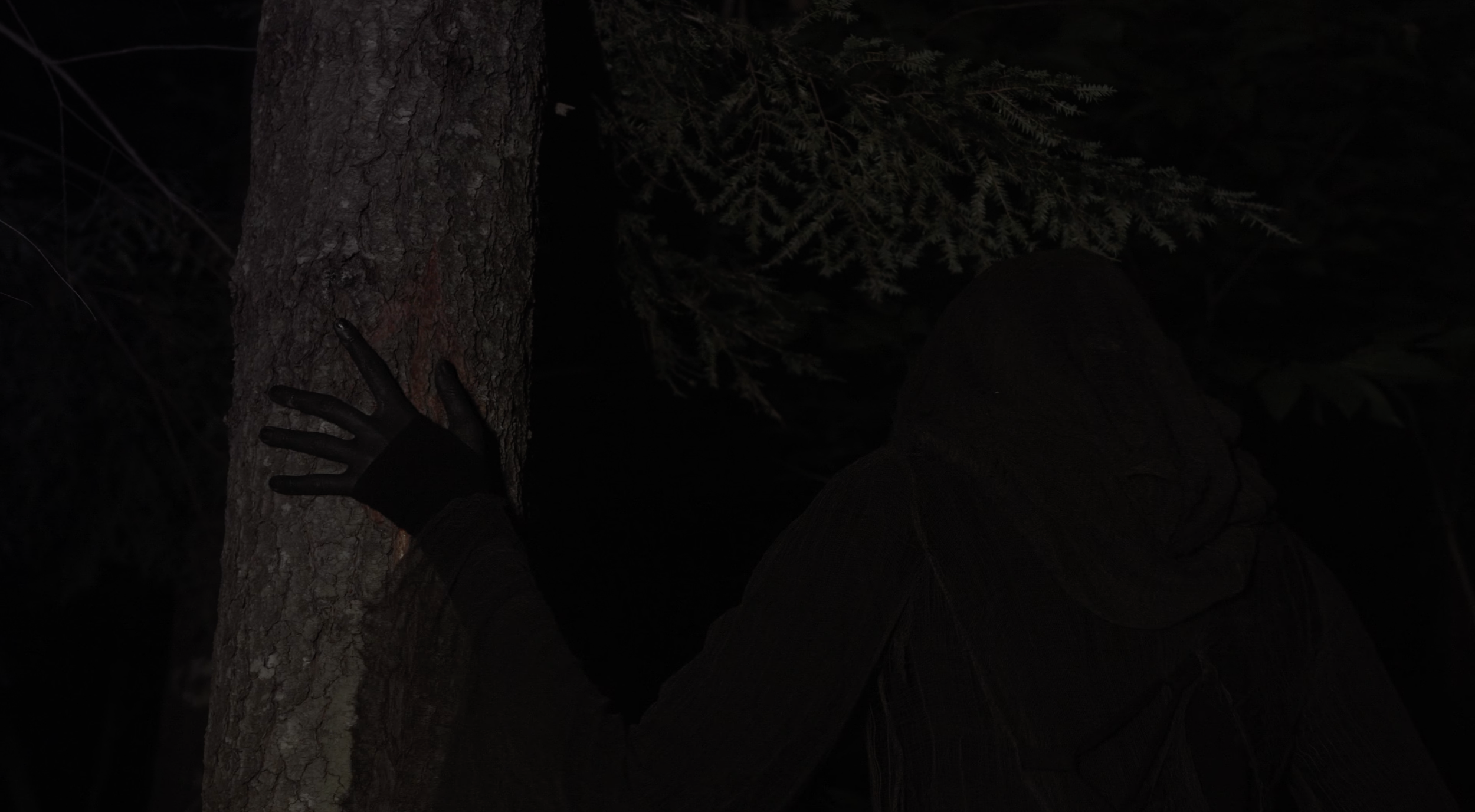 Screenshot 2026-02-20 at 11.47.07 AM.png