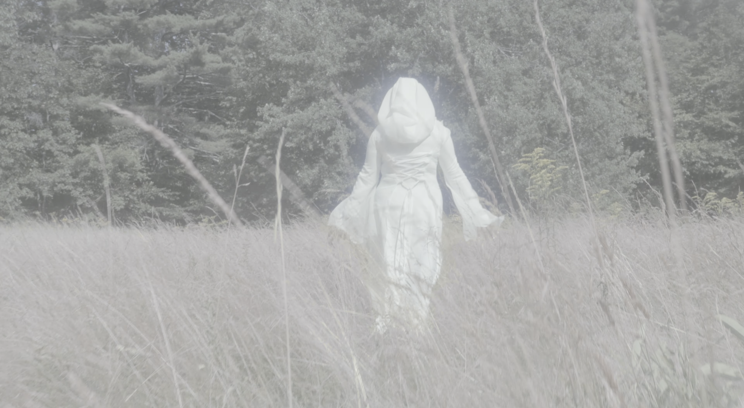 Screenshot 2026-02-20 at 11.17.56 AM.png