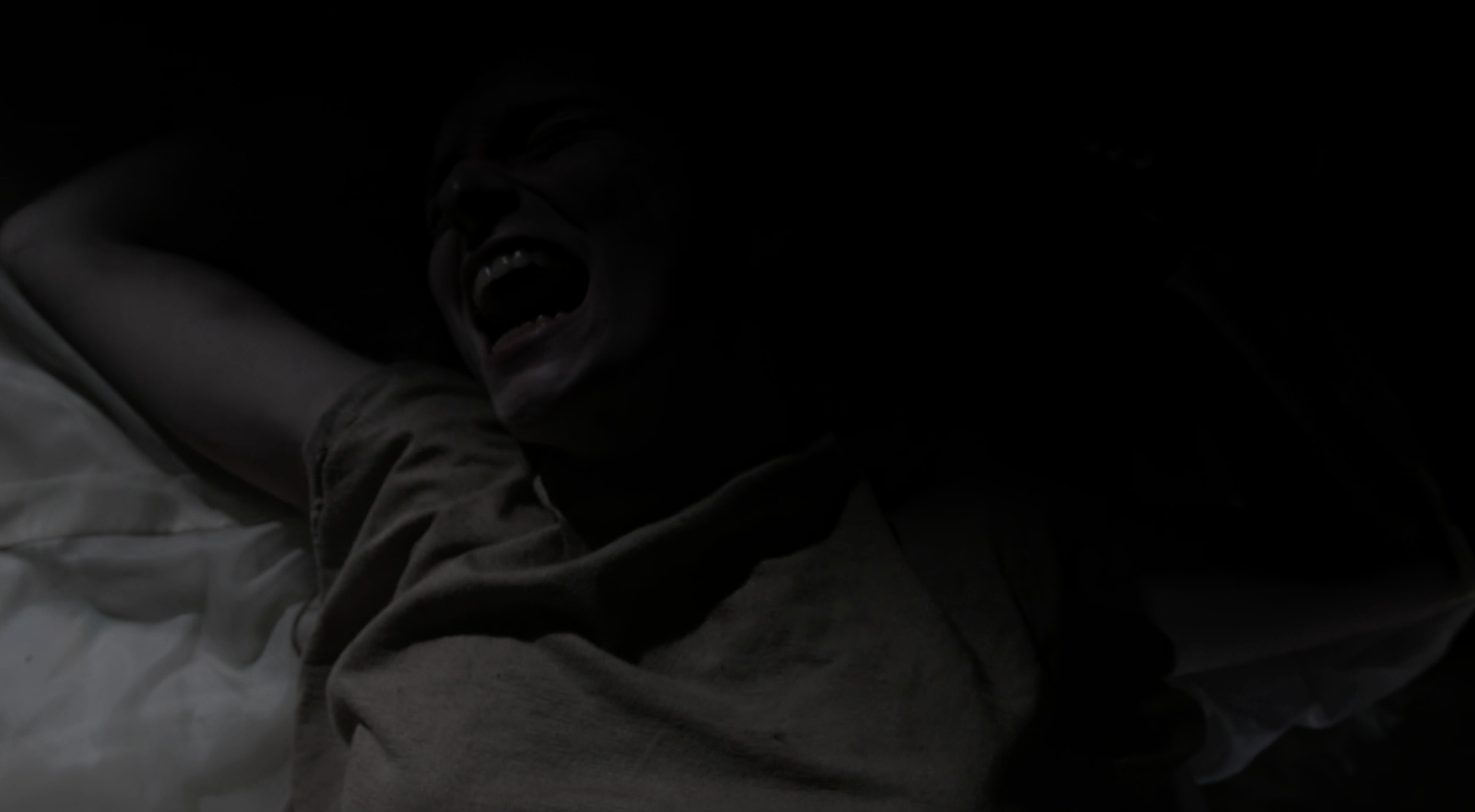 Screenshot 2026-02-20 at 11.13.06 AM.png