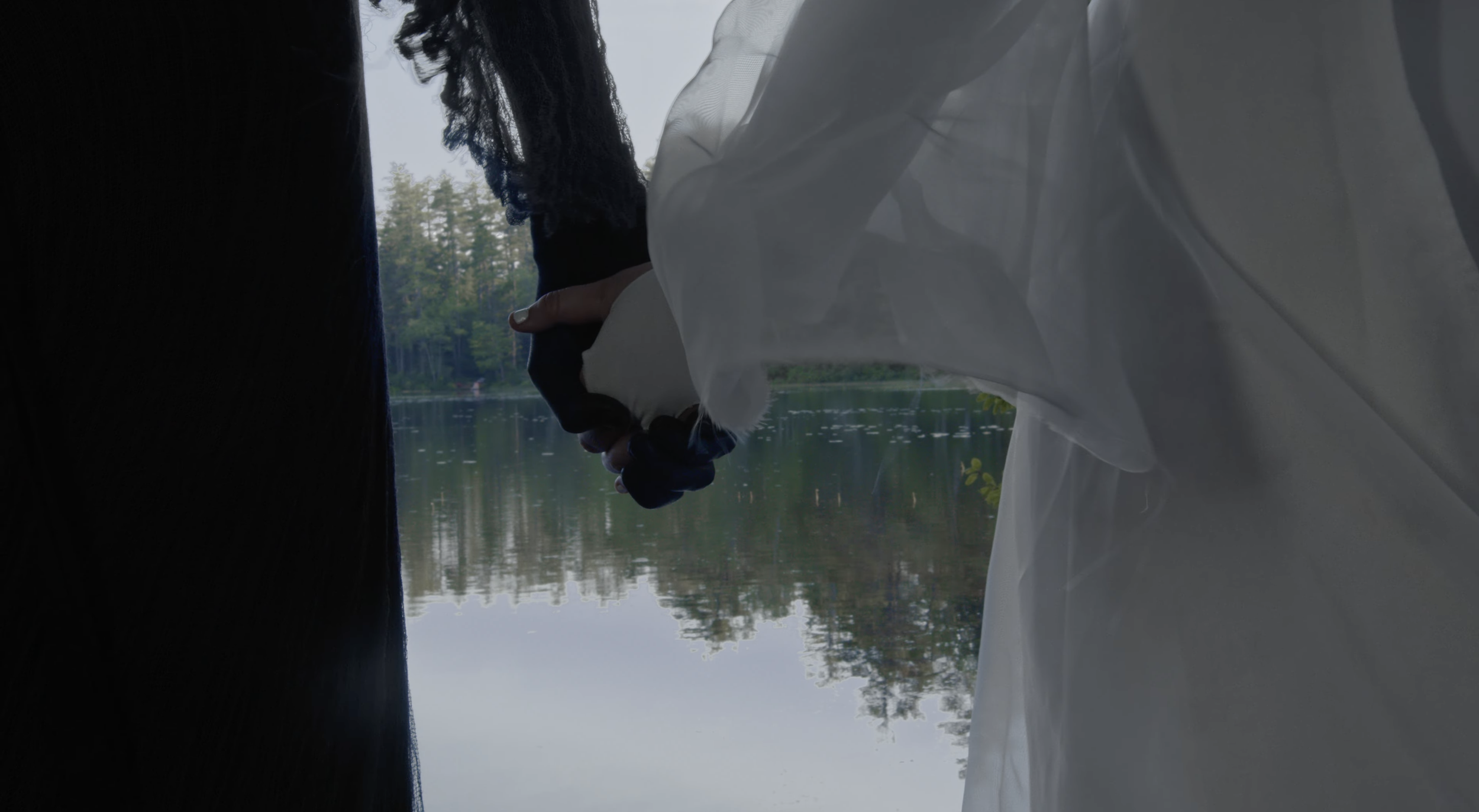 Screenshot 2026-02-20 at 11.35.10 AM.png