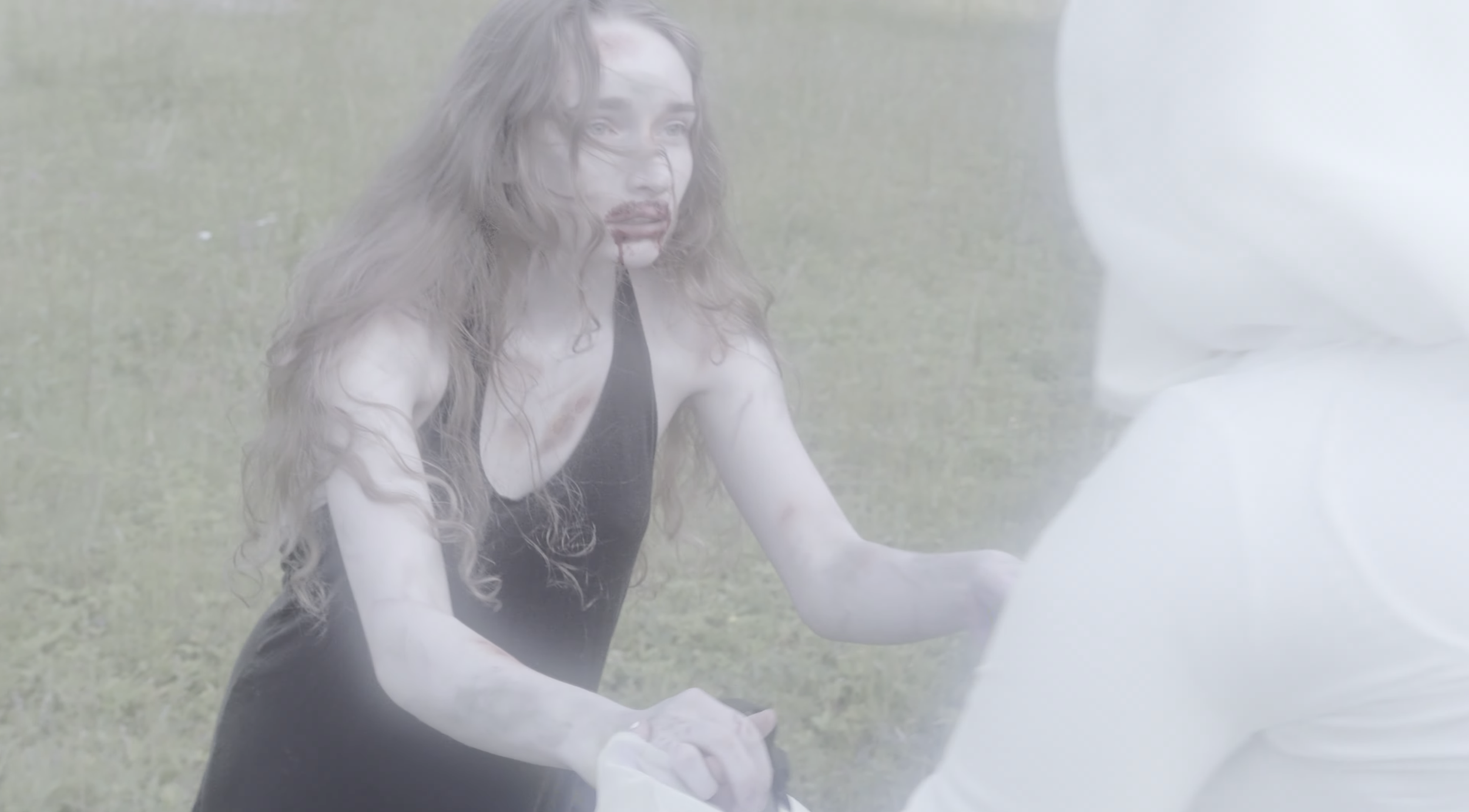 Screenshot 2026-02-20 at 11.44.55 AM.png