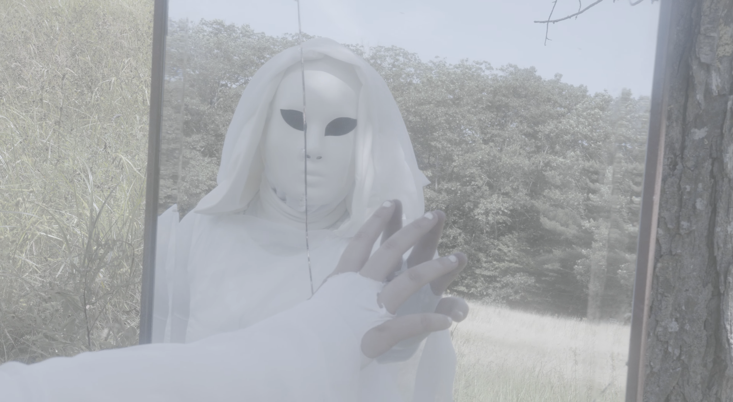 Screenshot 2026-02-20 at 11.34.57 AM.png