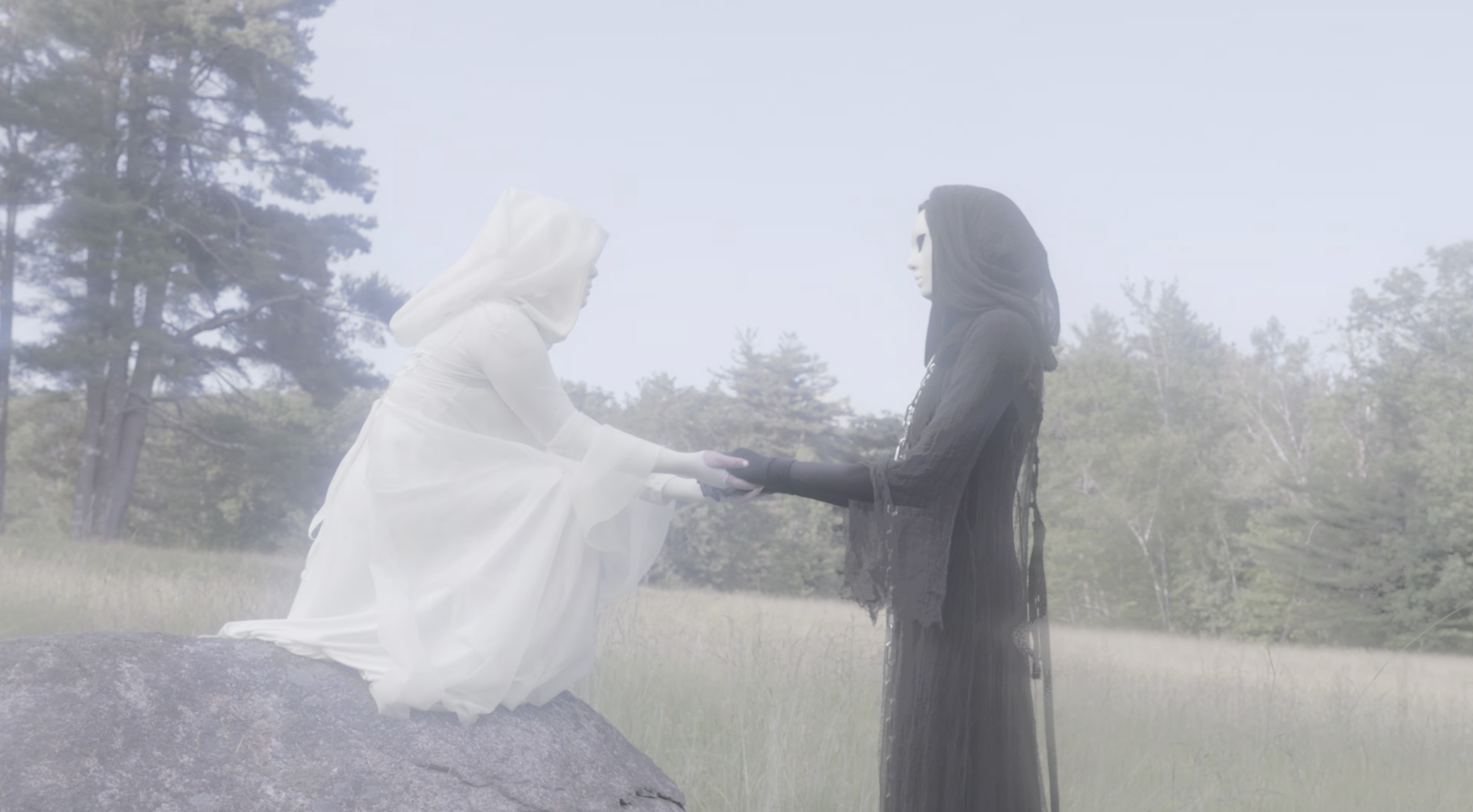 Screenshot 2026-02-20 at 11.46.25 AM.png