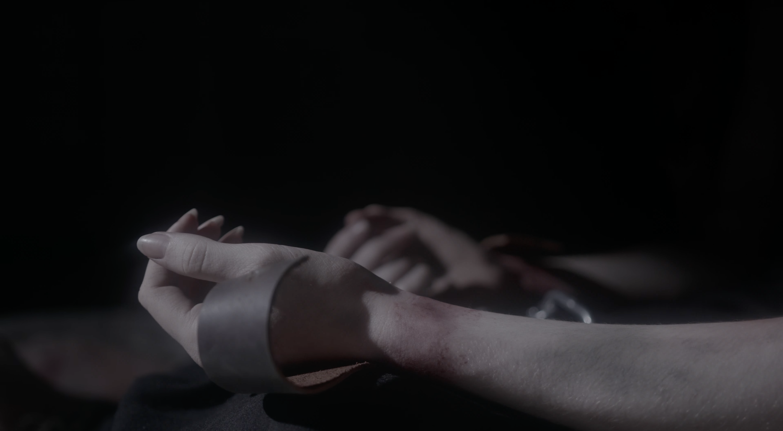 Screenshot 2026-02-20 at 11.39.43 AM.png