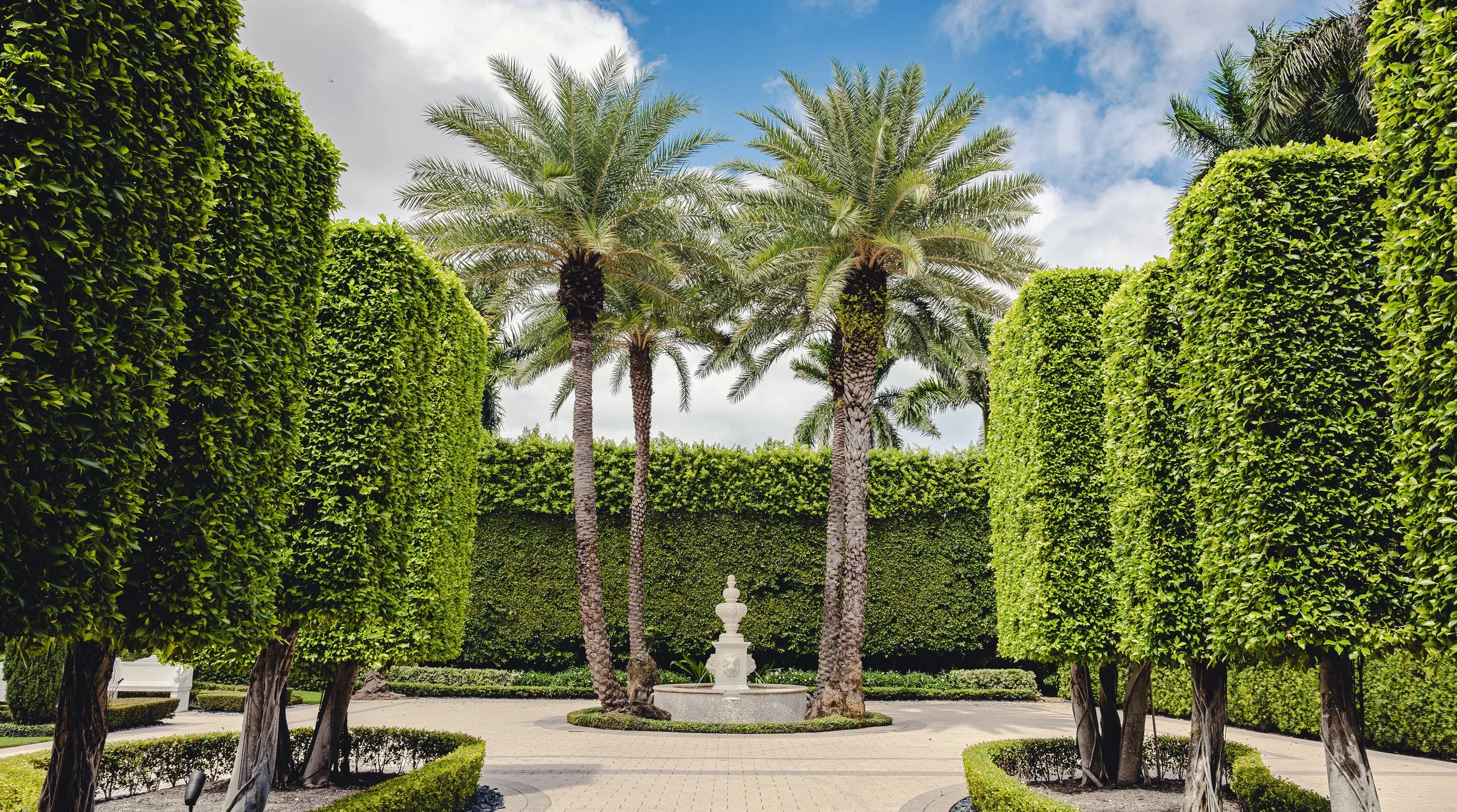 A landscaped garden with four palm trees surrounding a white fountain, framed by neatly trimmed green hedges and trees, under a partly cloudy sky.