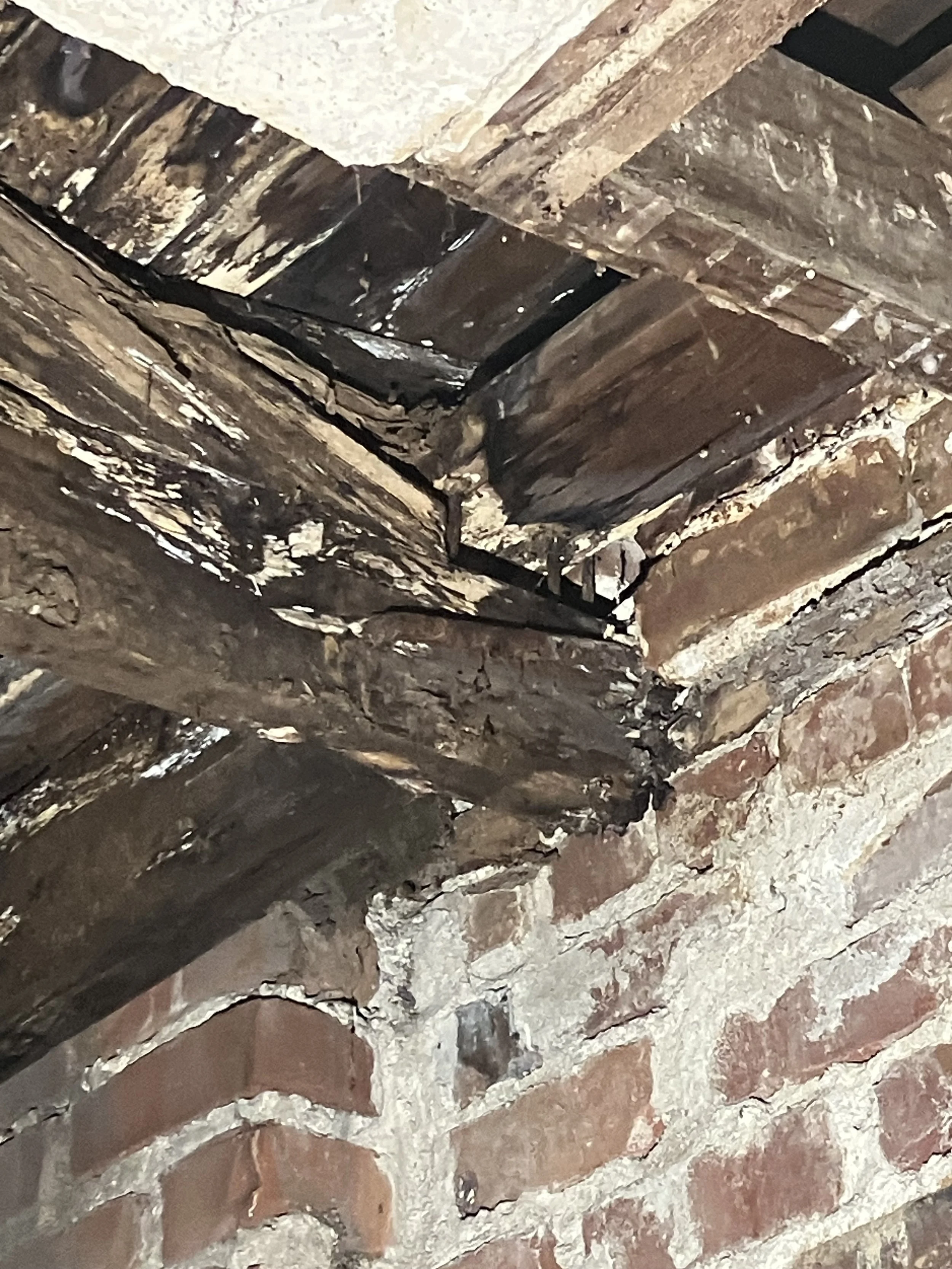 06 Rotted Structure.jpg