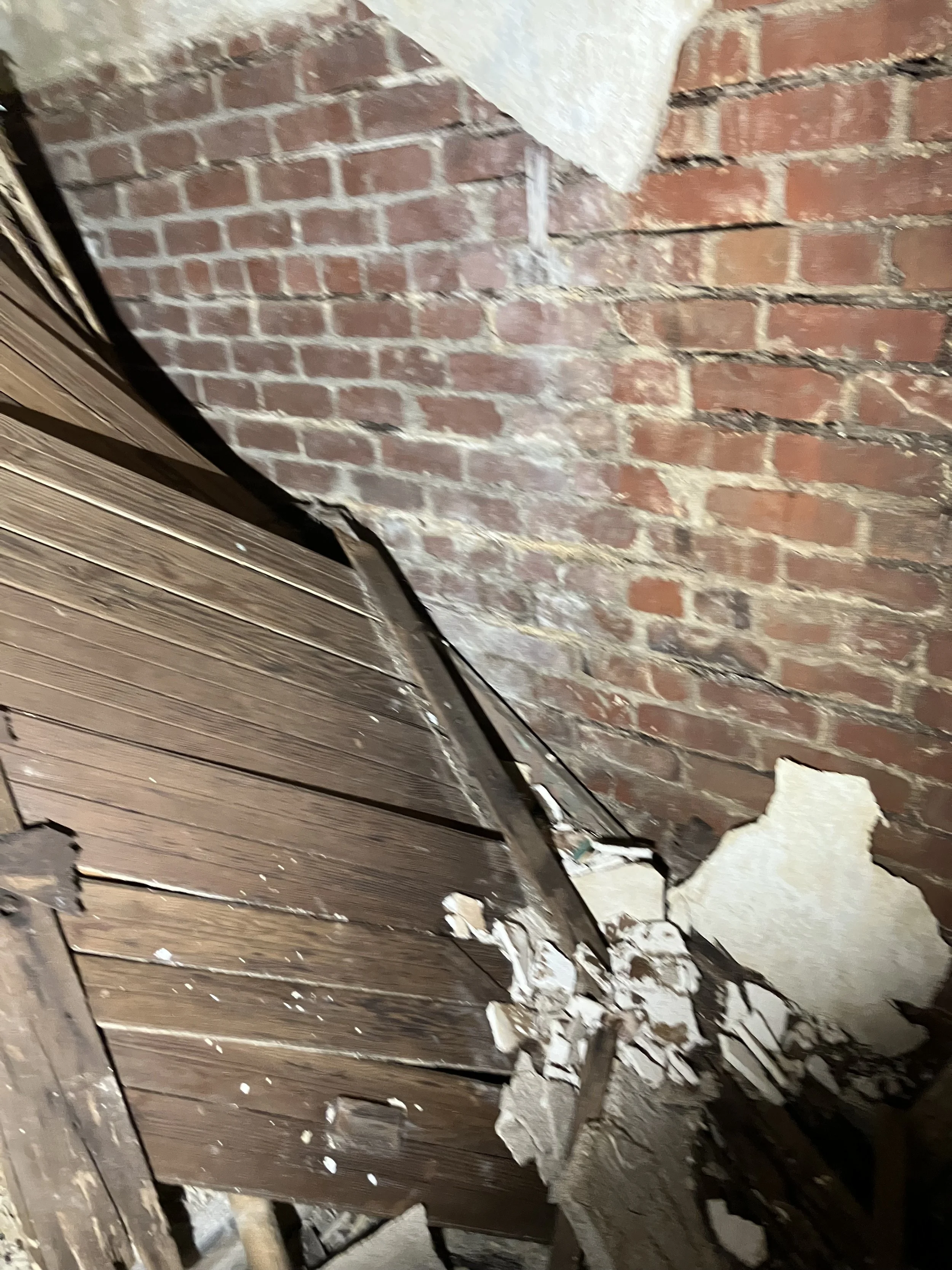 04 Rotted Structure.jpg