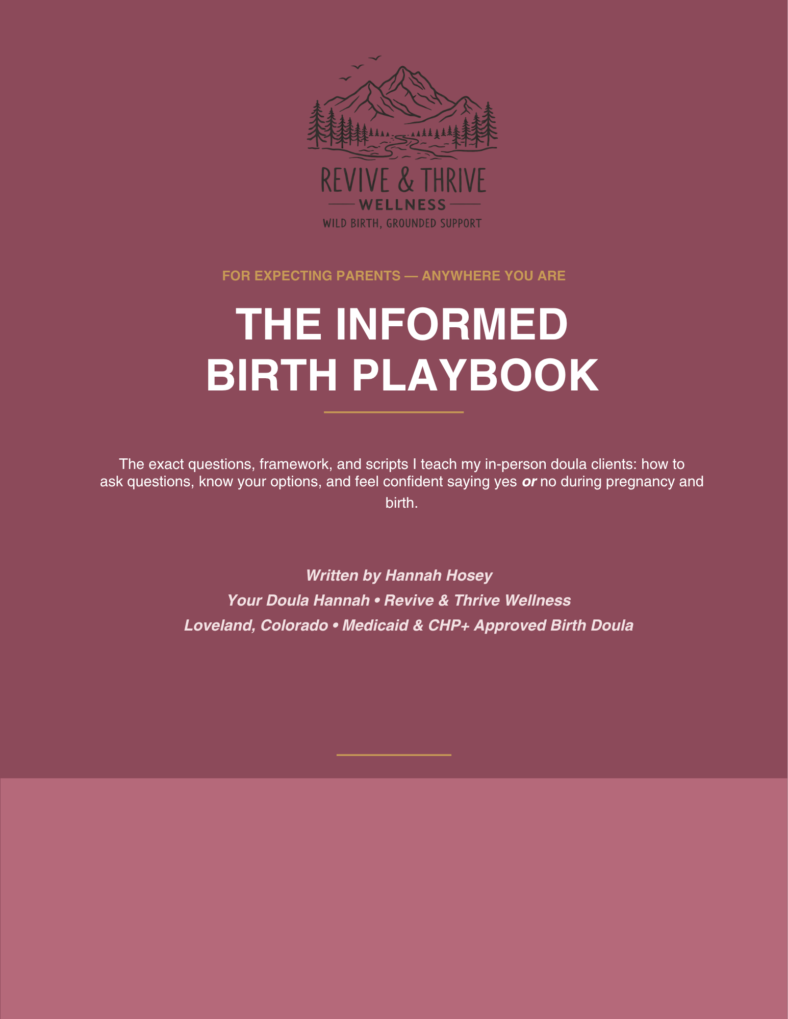 The Informed Birth Playbook