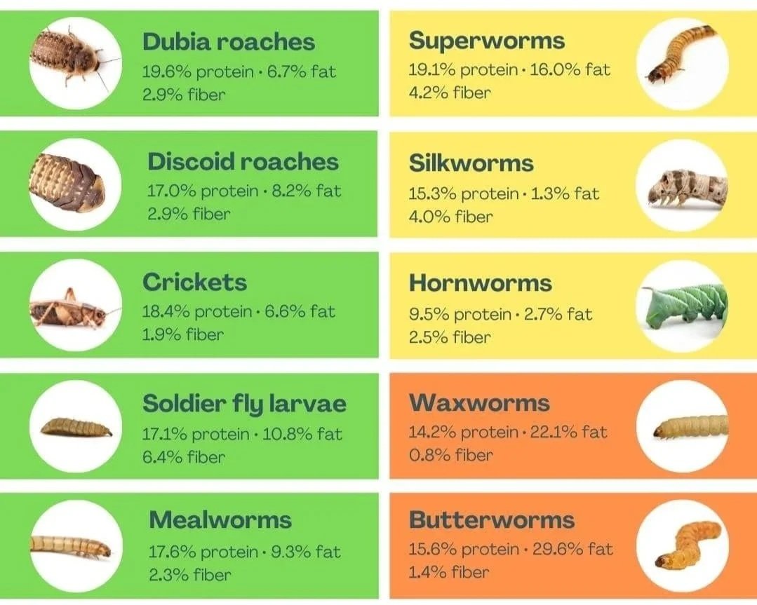 nutrition.jpg (Copy)