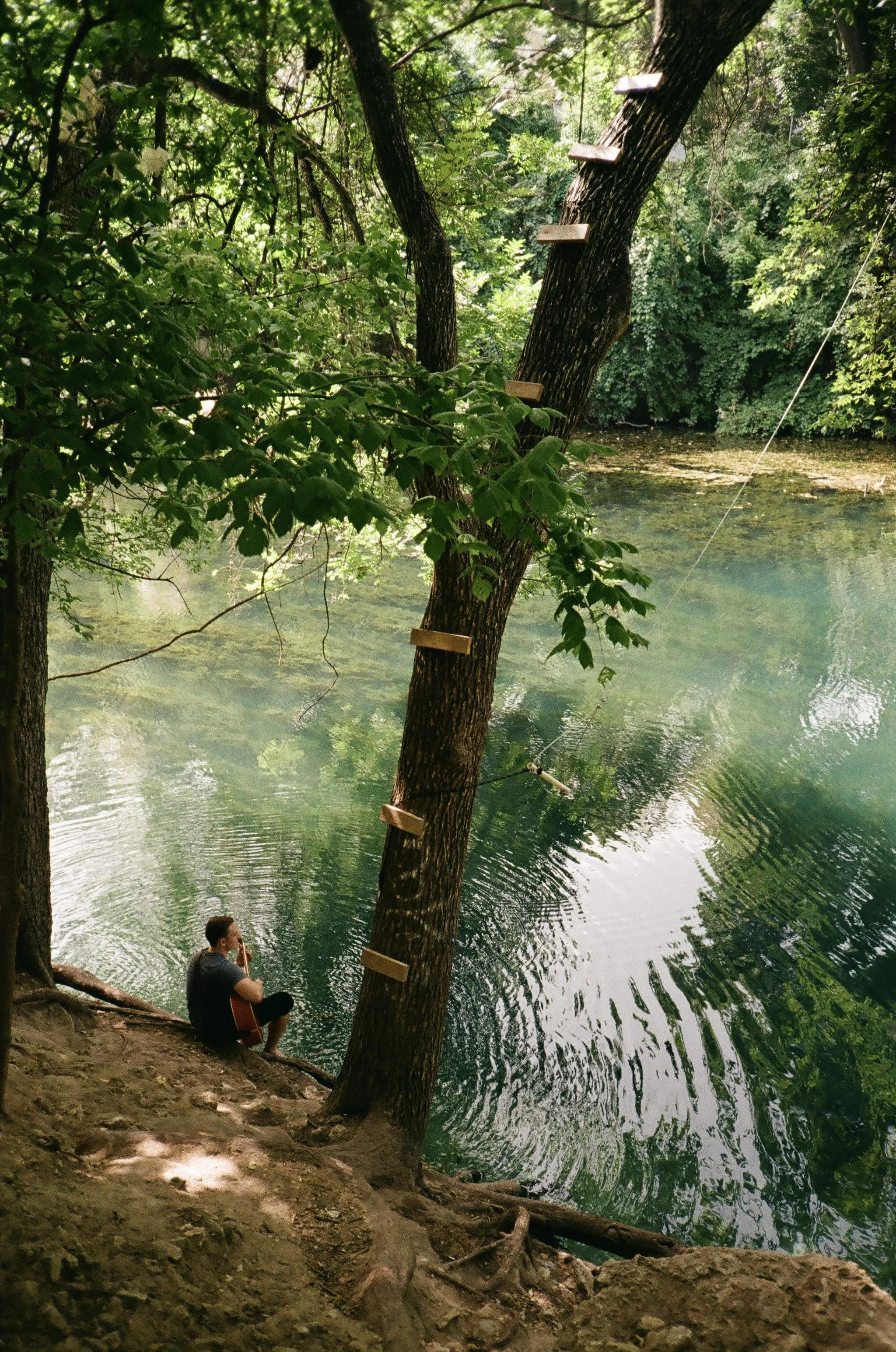 A person sitting on the rocky riverbank playing guitar next to a tree with wooden steps attached to its trunk, overlooking a calm river surrounded by lush greenery.