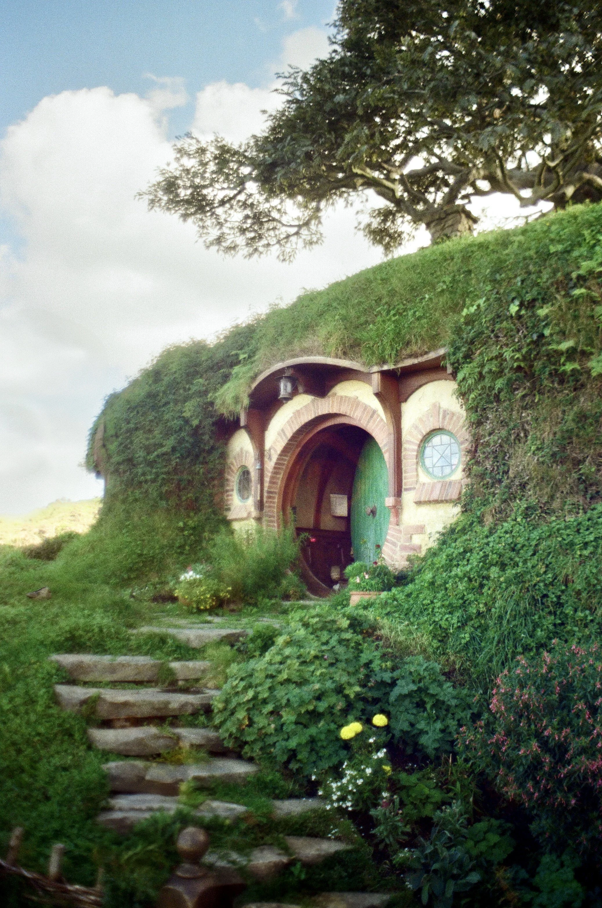 A Hobbit house built into a grassy hillside, with a rounded green door and small windows, surrounded by plants and a stone pathway leading up to it.