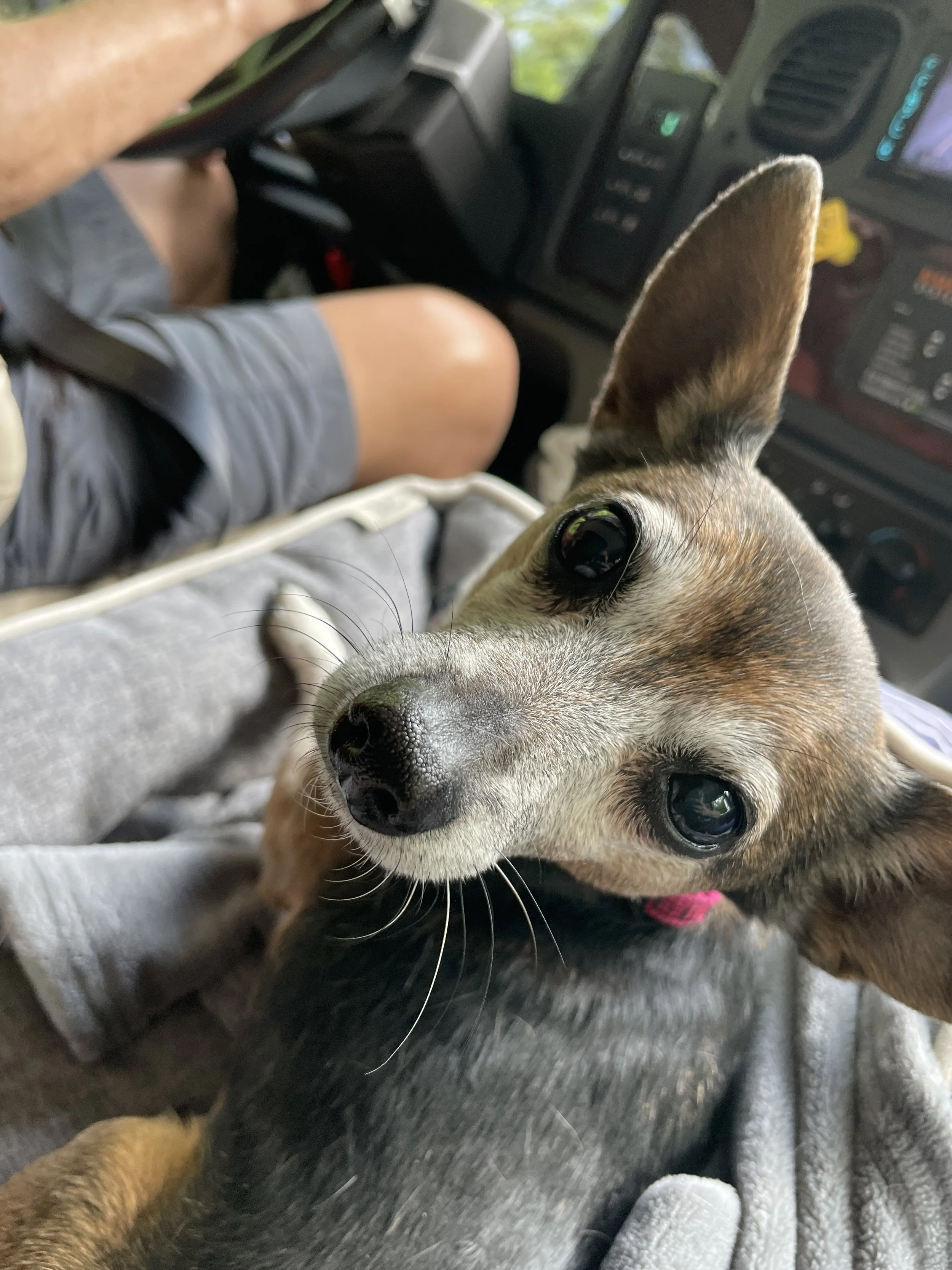 Traveling to Texas