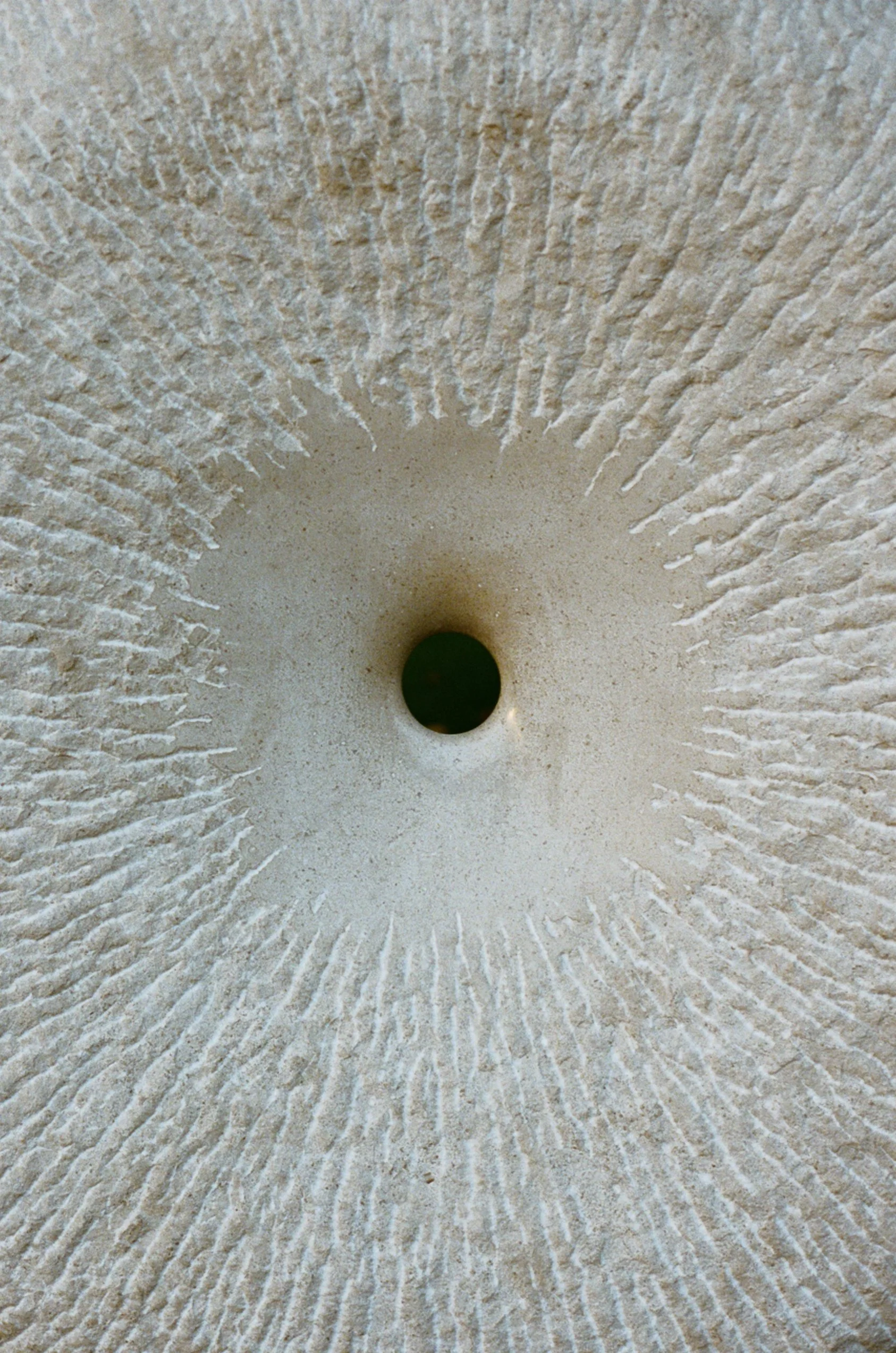26390014.jpg