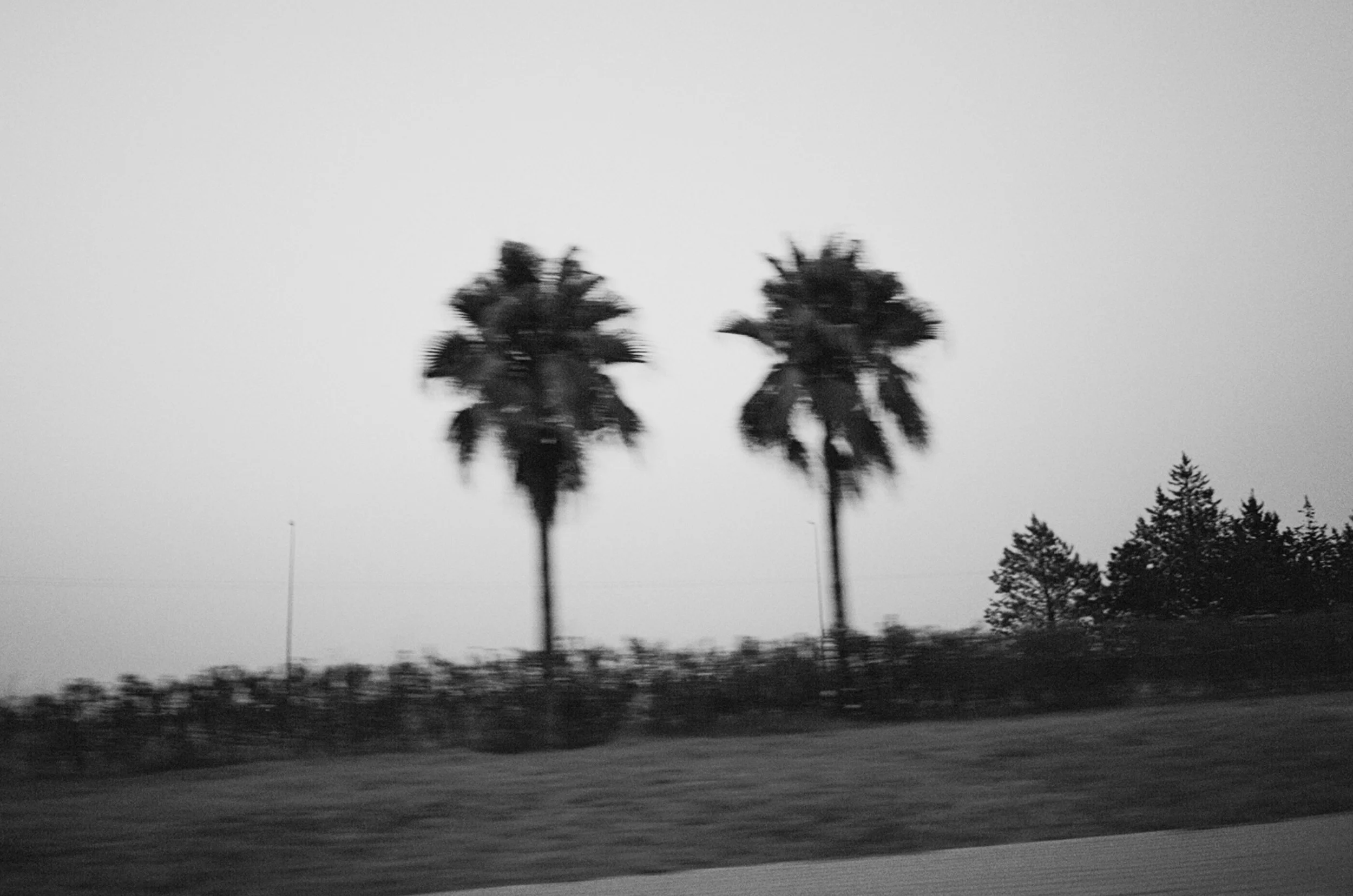 42090039-2.jpg