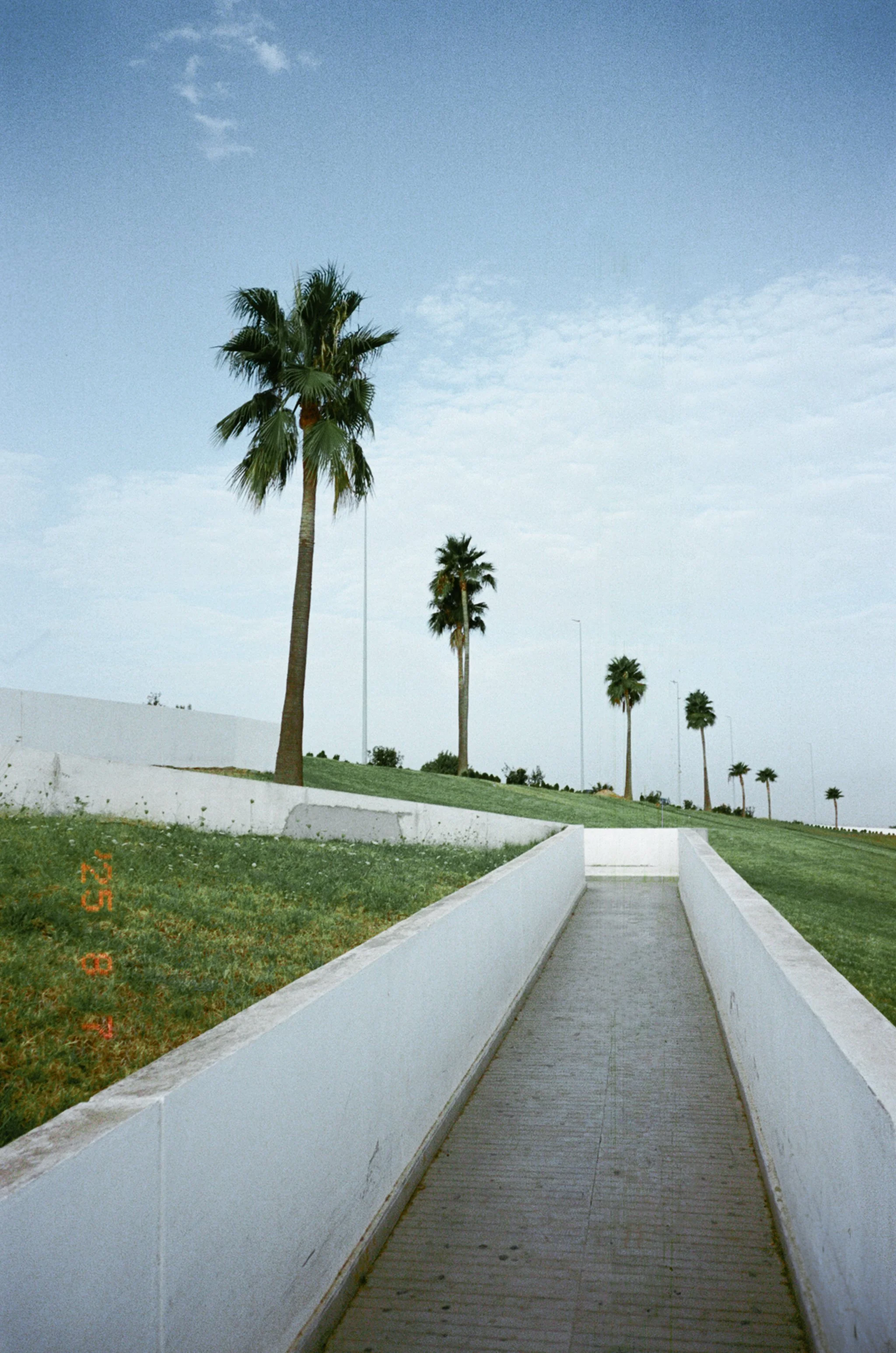 42100005-Edit.jpg