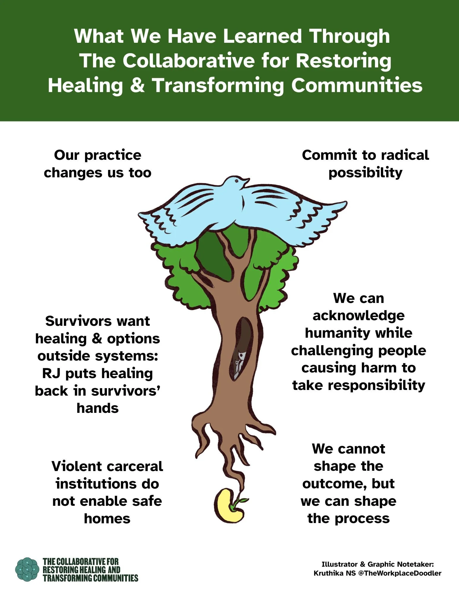 What We Have Learned.jpg