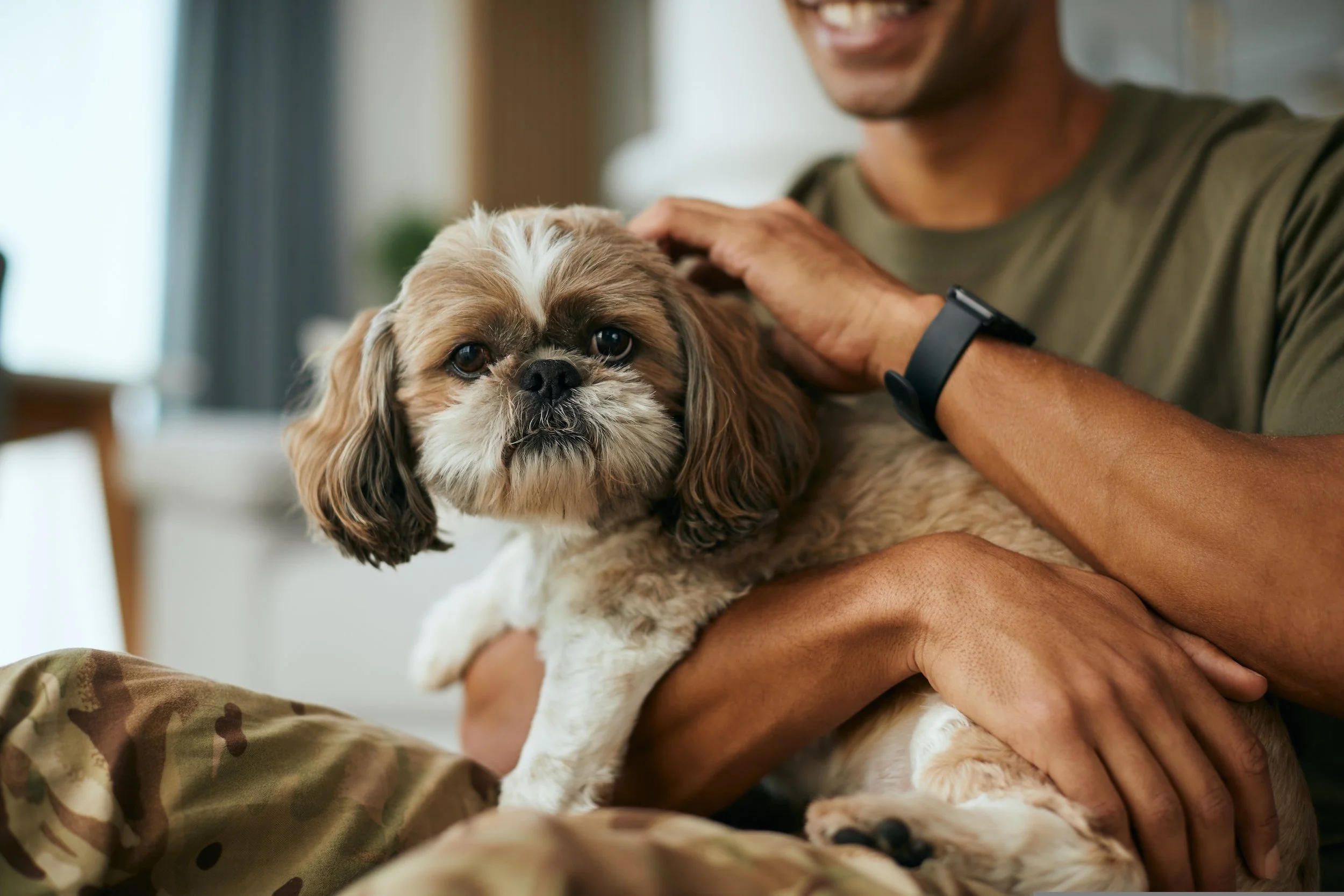 Man holding a small brown and white dog indoors.