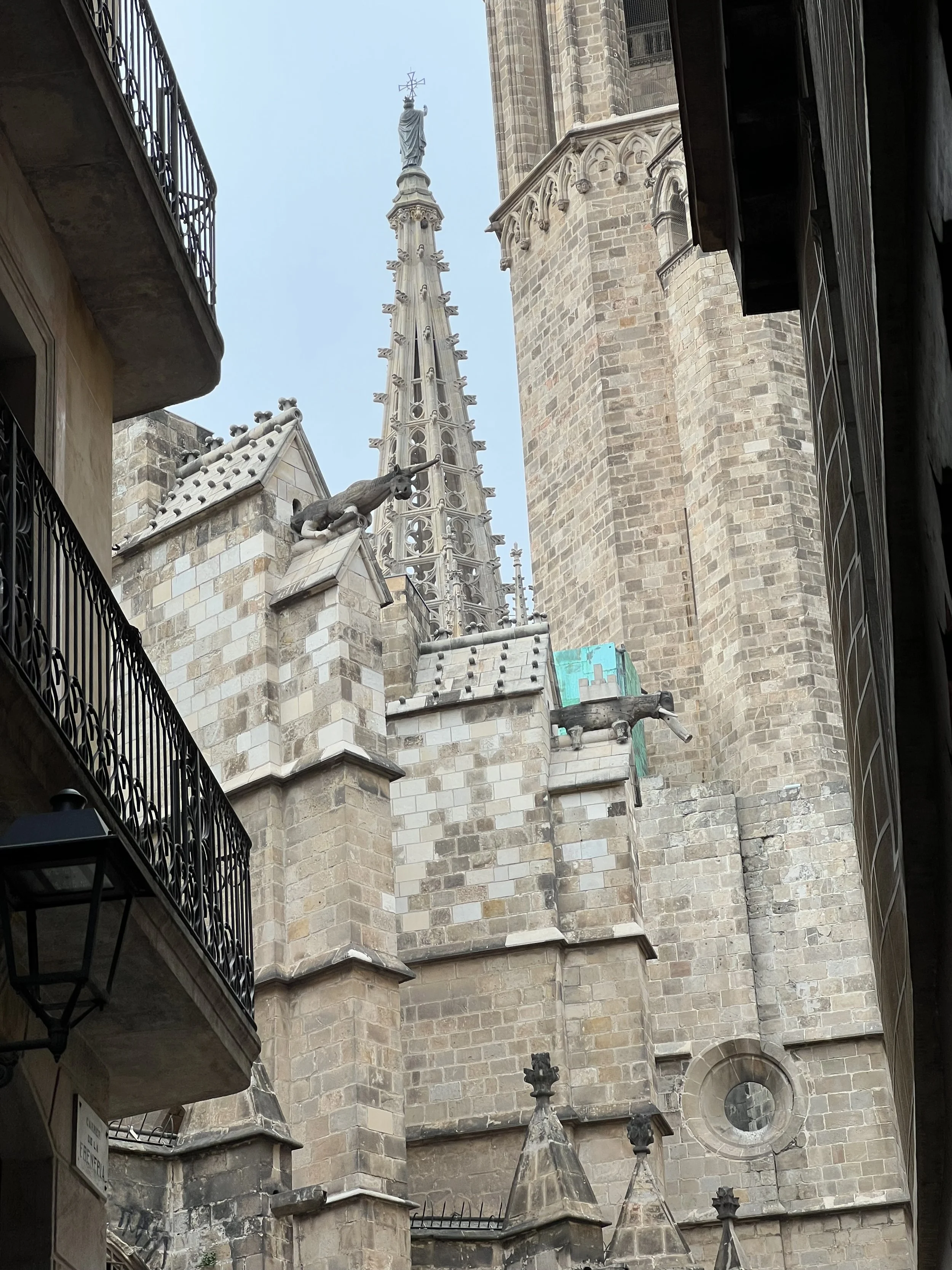 IMG_5864.jpeg