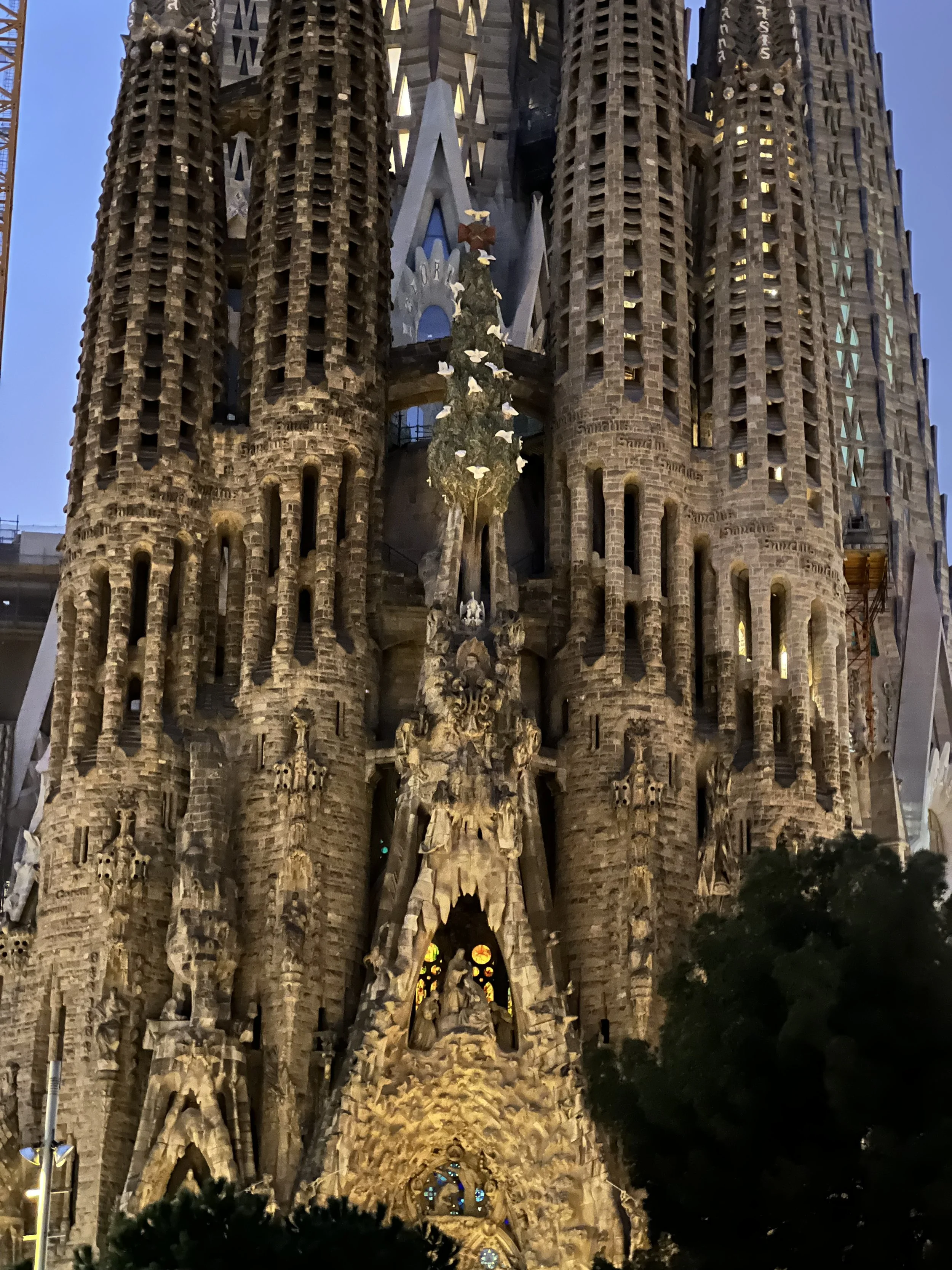 IMG_5962.jpeg