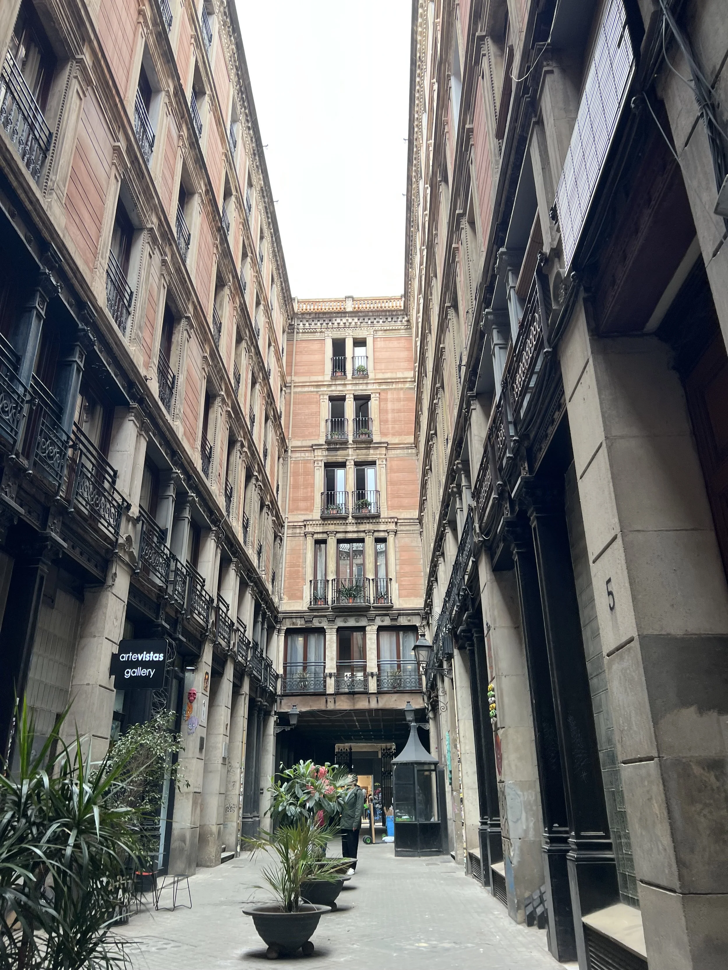 IMG_6071.jpeg
