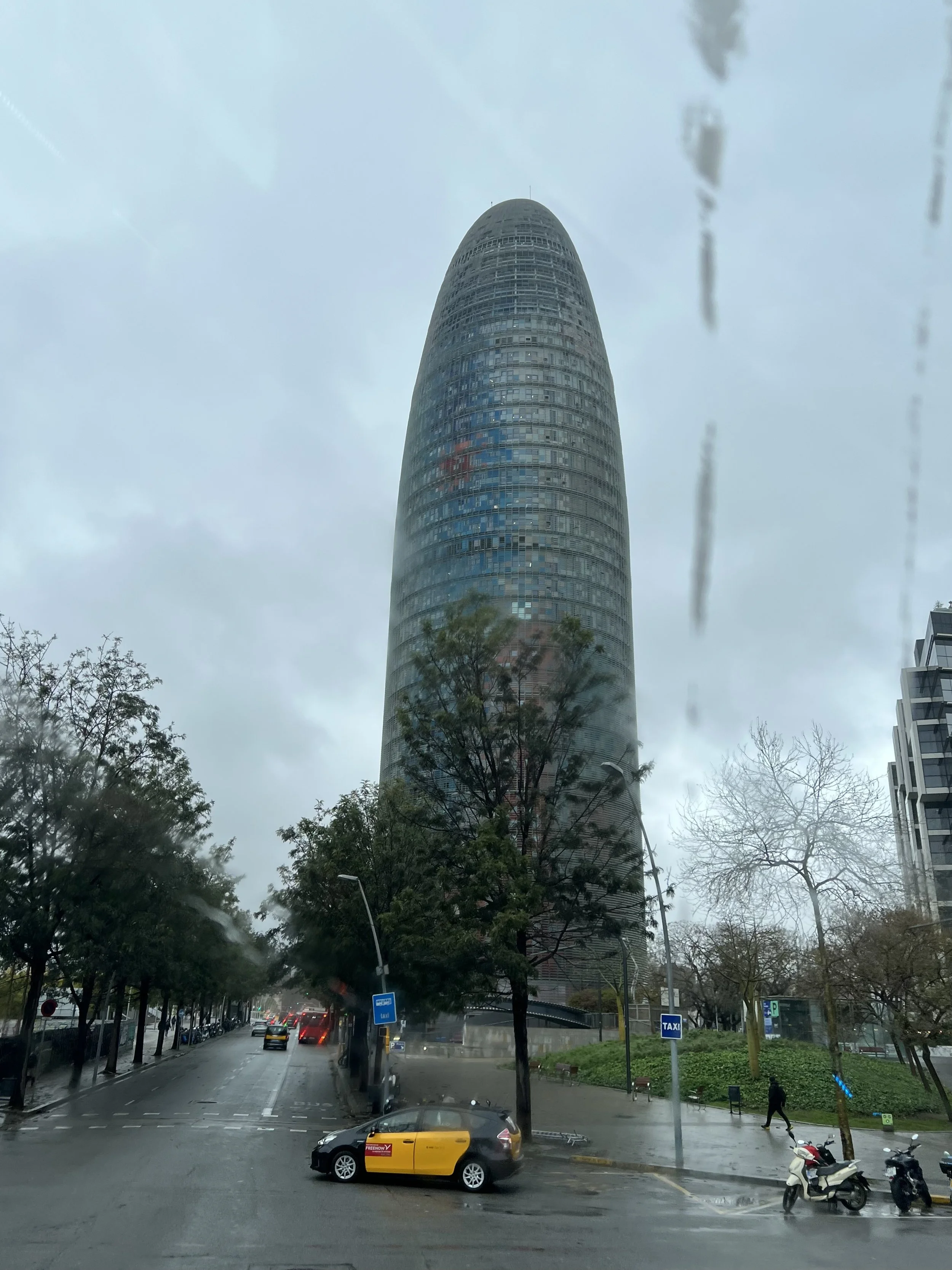 IMG_6100.jpeg