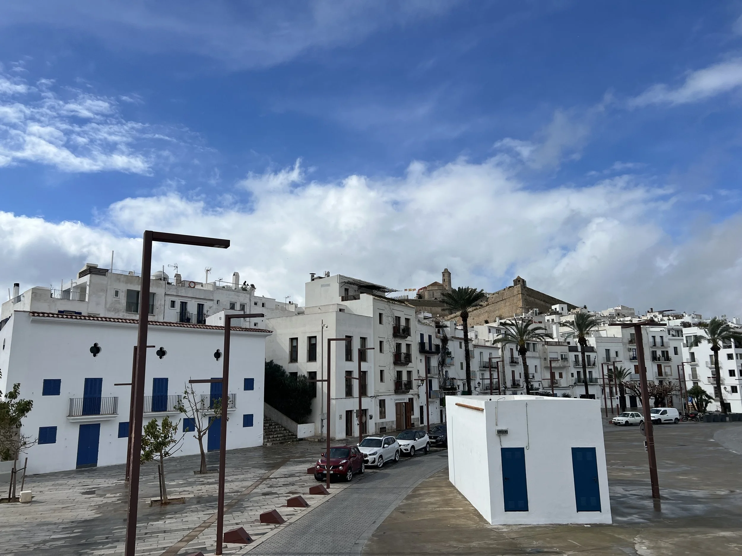 IMG_6147.jpeg