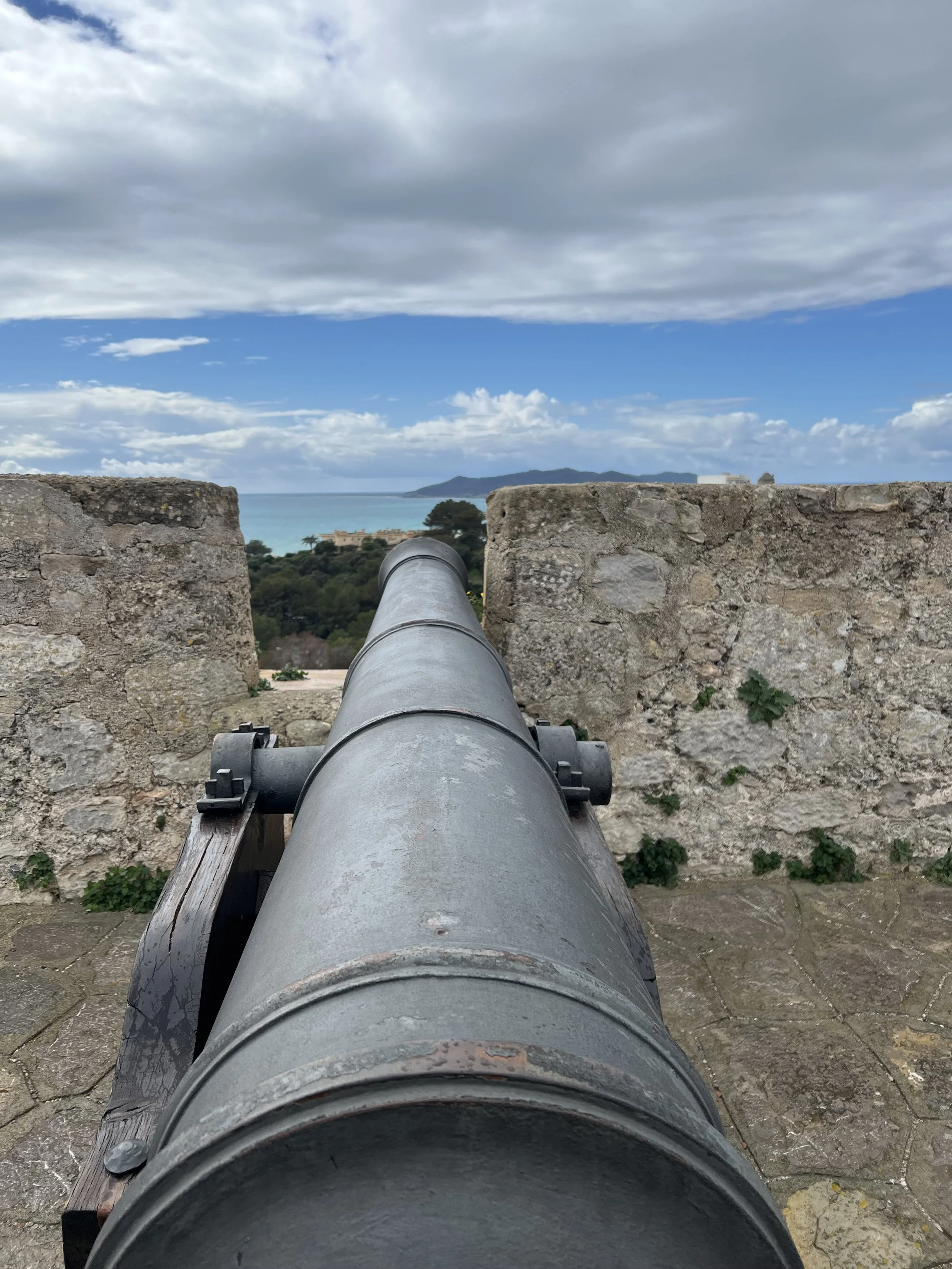 IMG_6171.jpeg