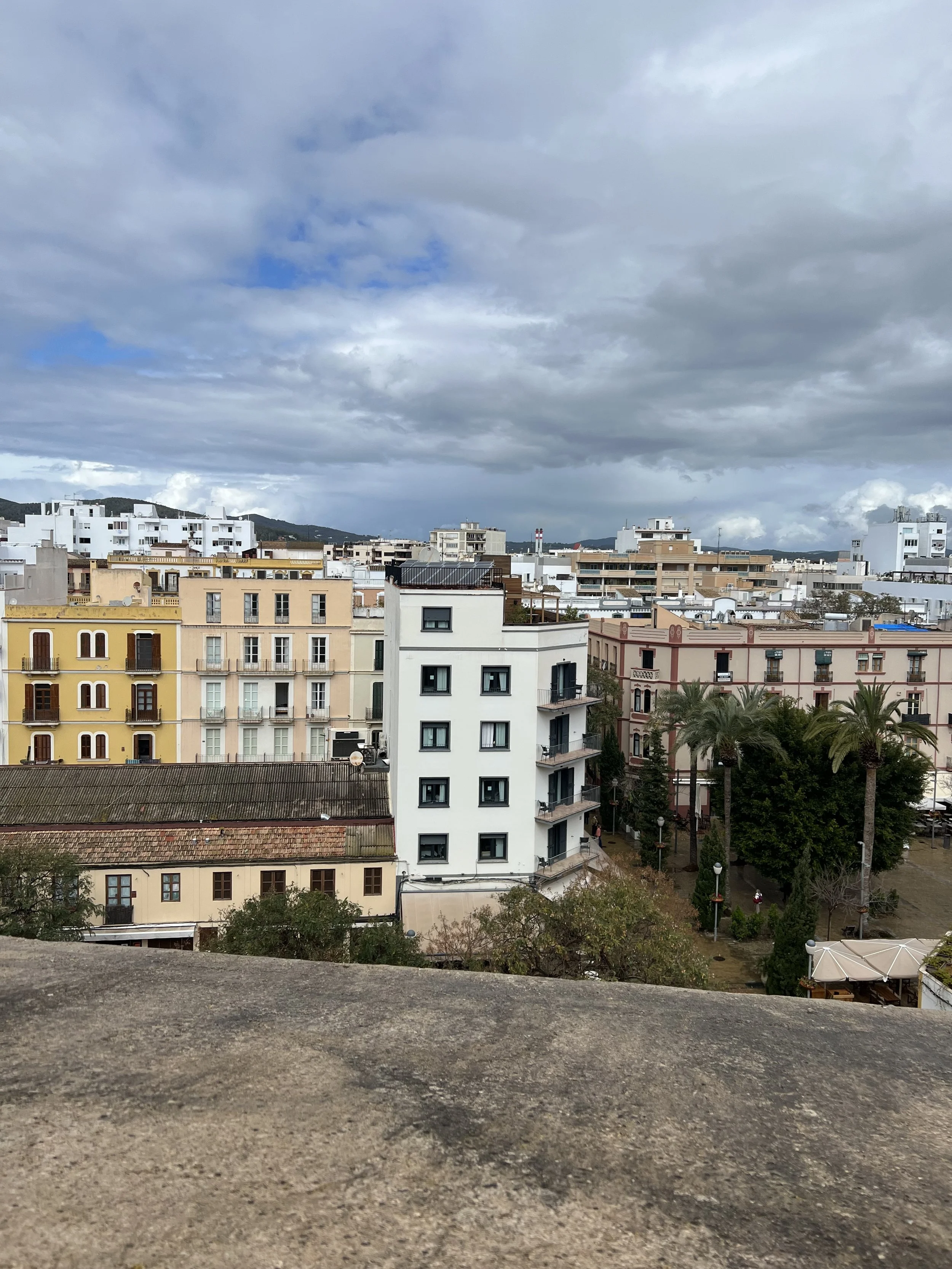 IMG_6181.jpeg