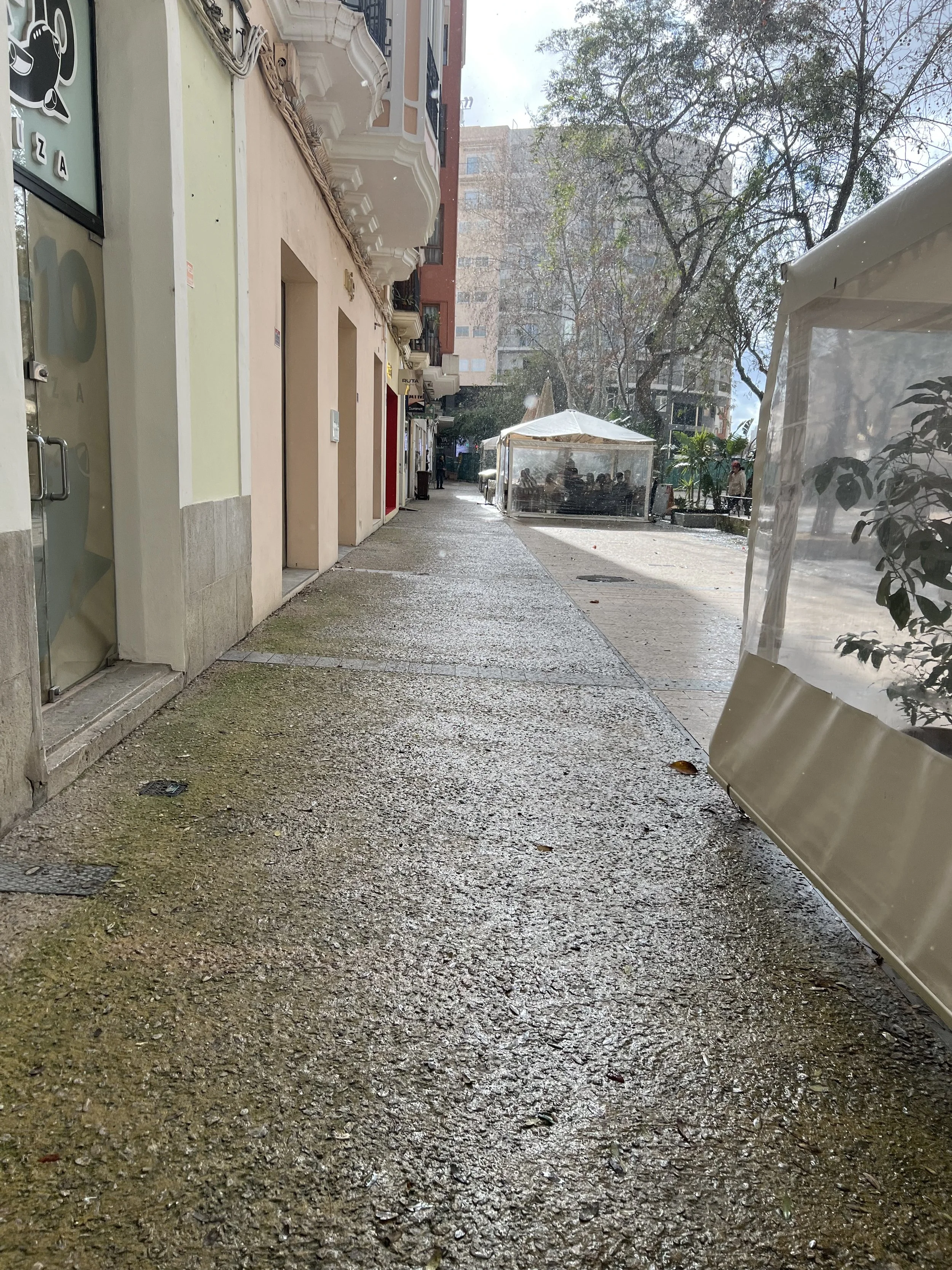IMG_6198.jpeg