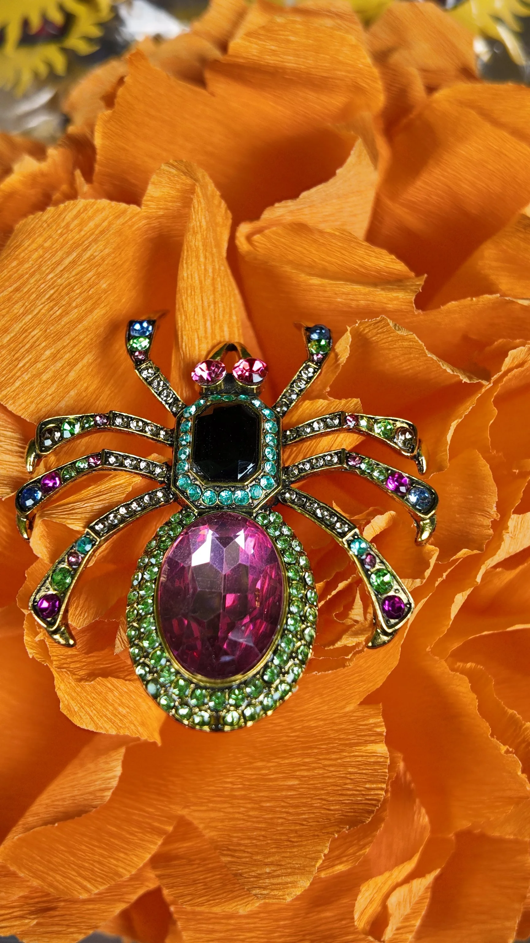 Jewel Spider