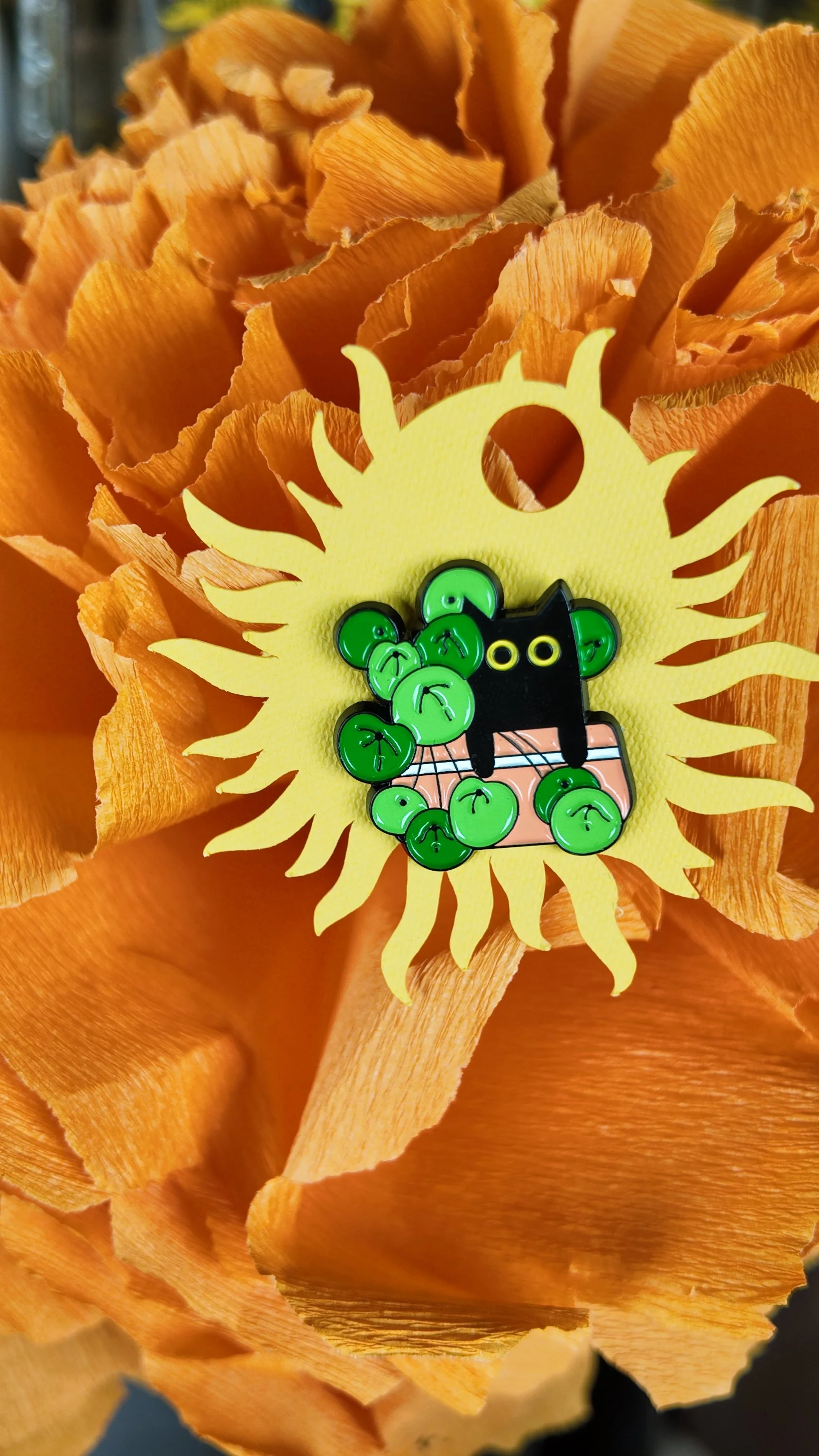 Black cat with Chinese money plant