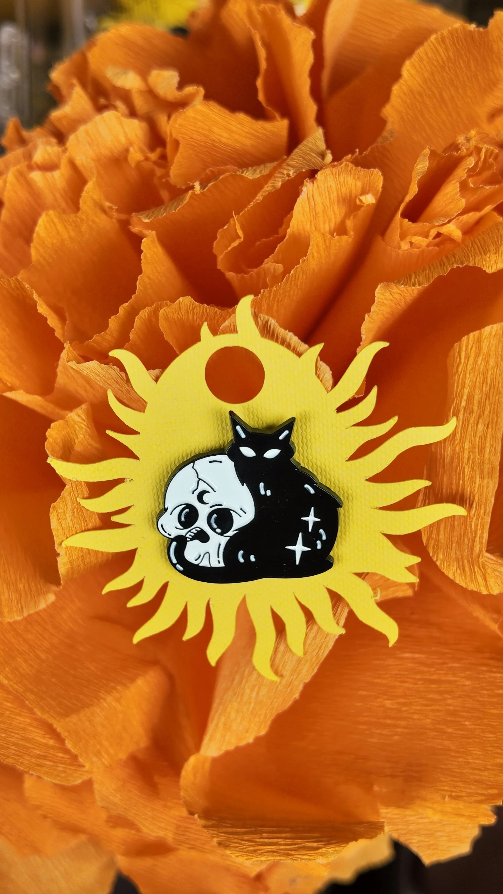 Cat around skull