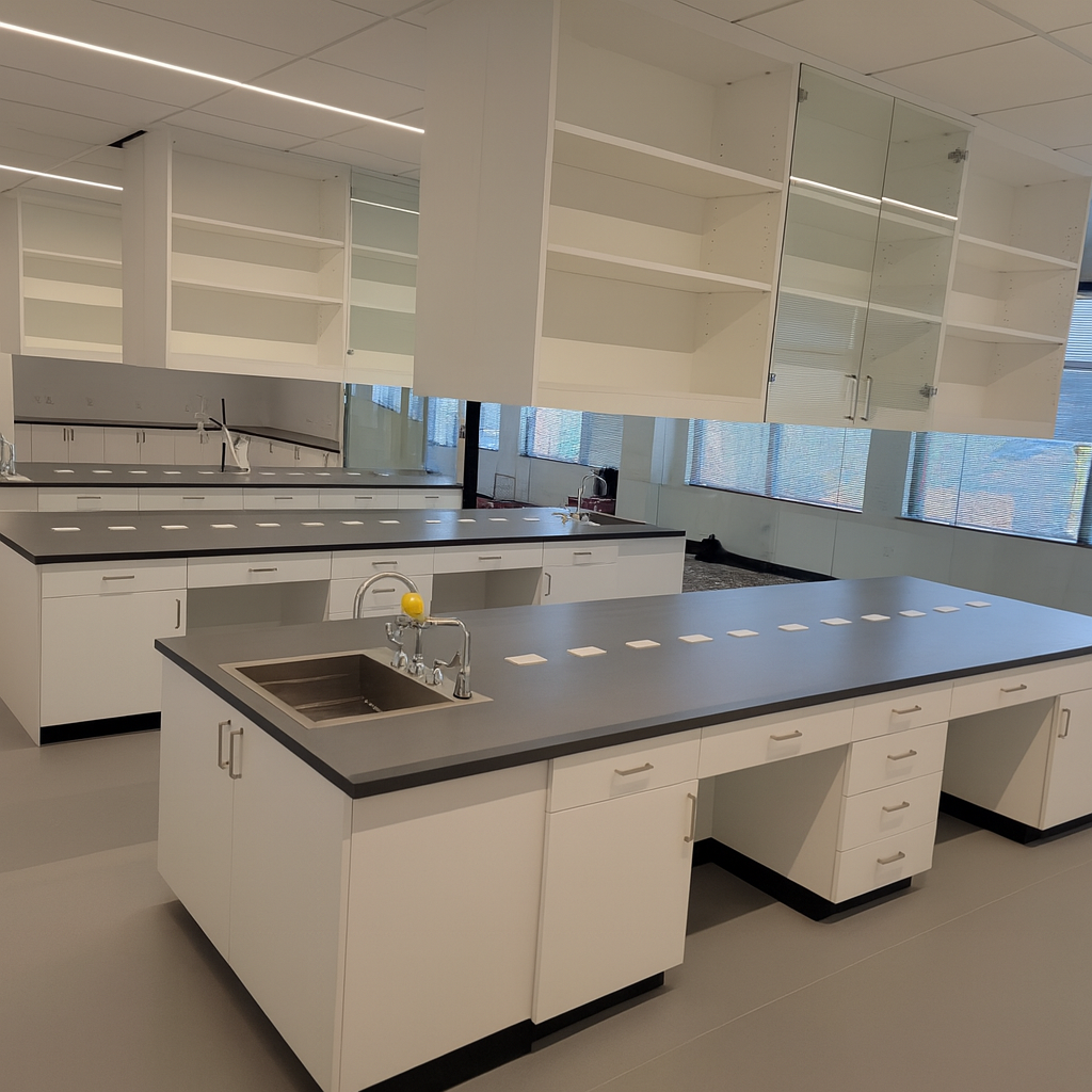 Casework for a laboratory, with large countertops and hanging upper casework.