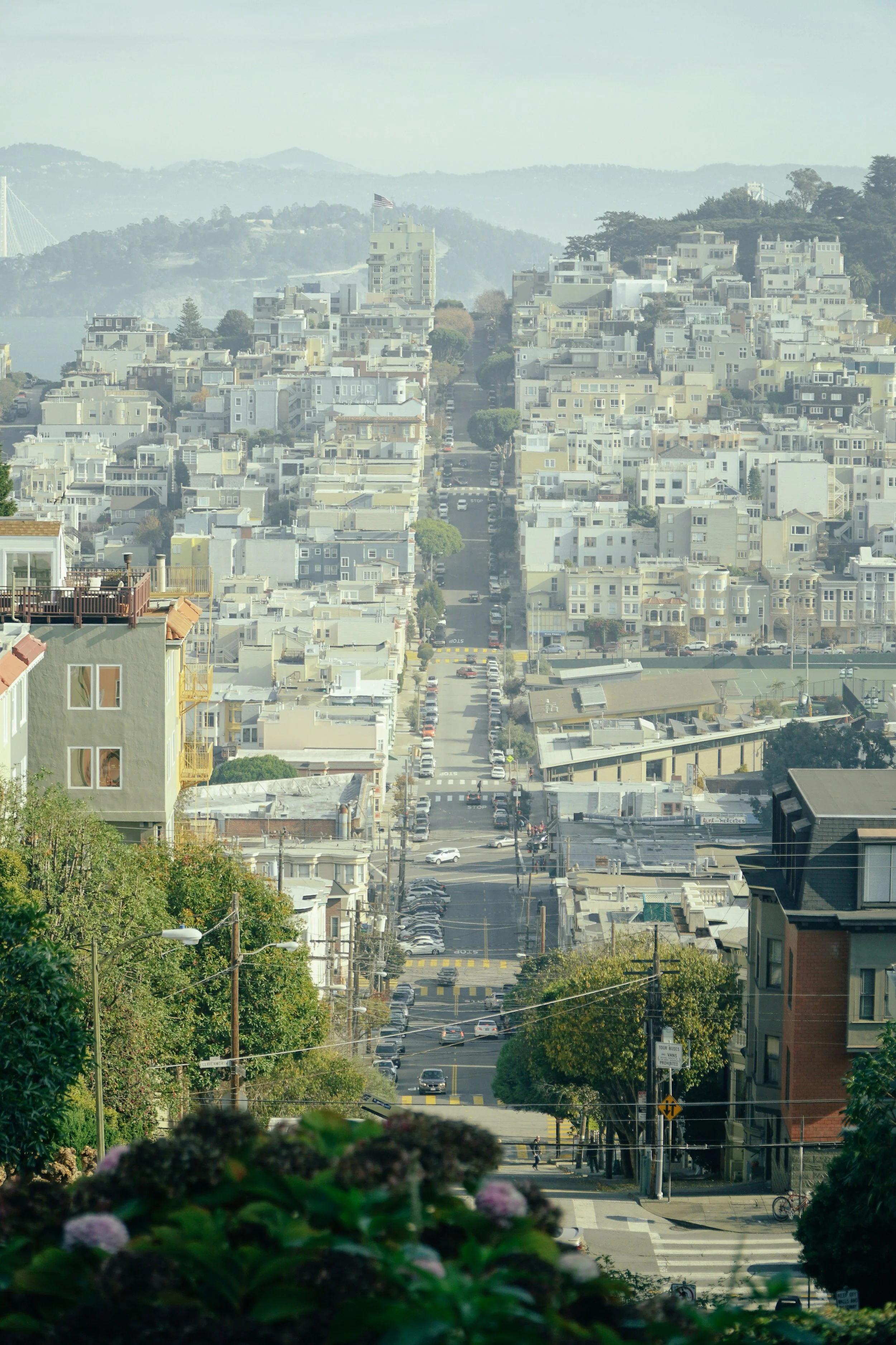 A city street view extending into a hilly area with many closely packed houses and buildings, with some trees and parked cars along the road.