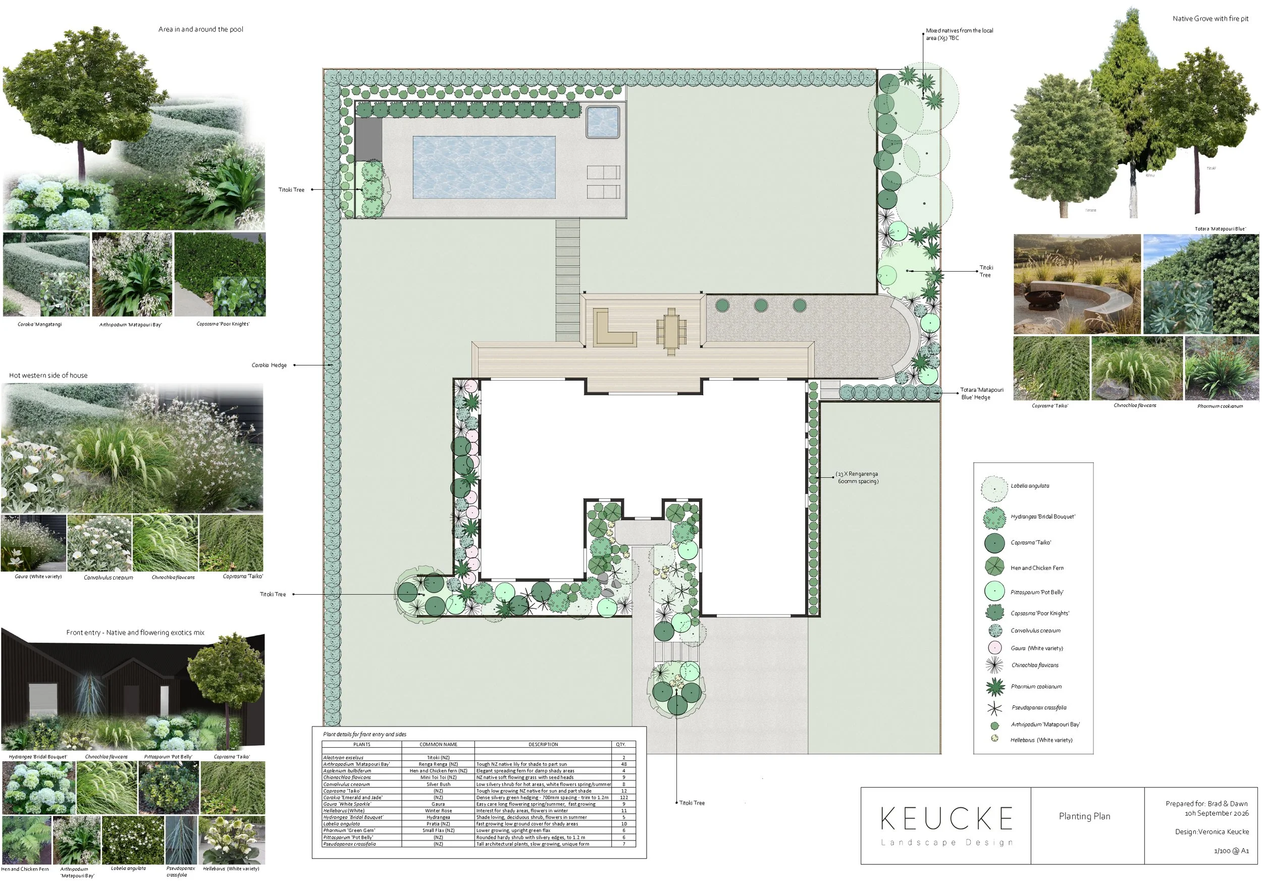 Rural Waikato planting plan featuring a pool, and landscaped areas. Garden design for new build Morrinsville