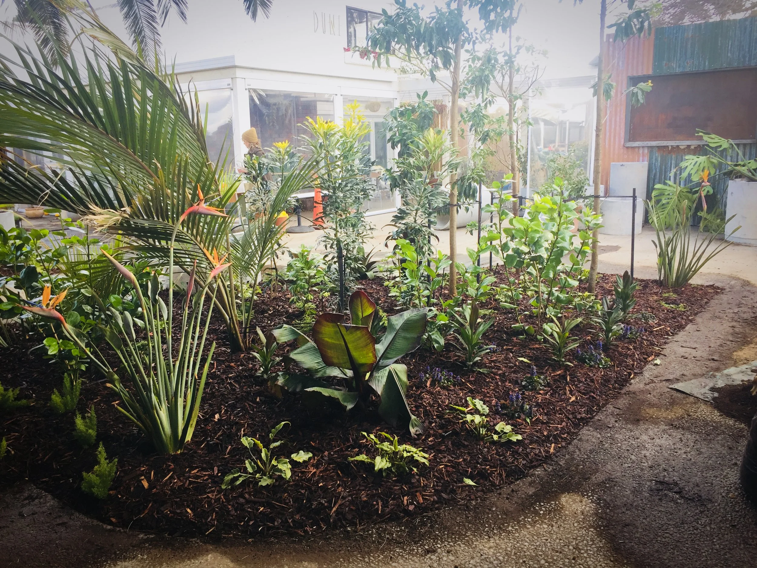 The making of a tropical courtyard garden, Papamoa NZ.