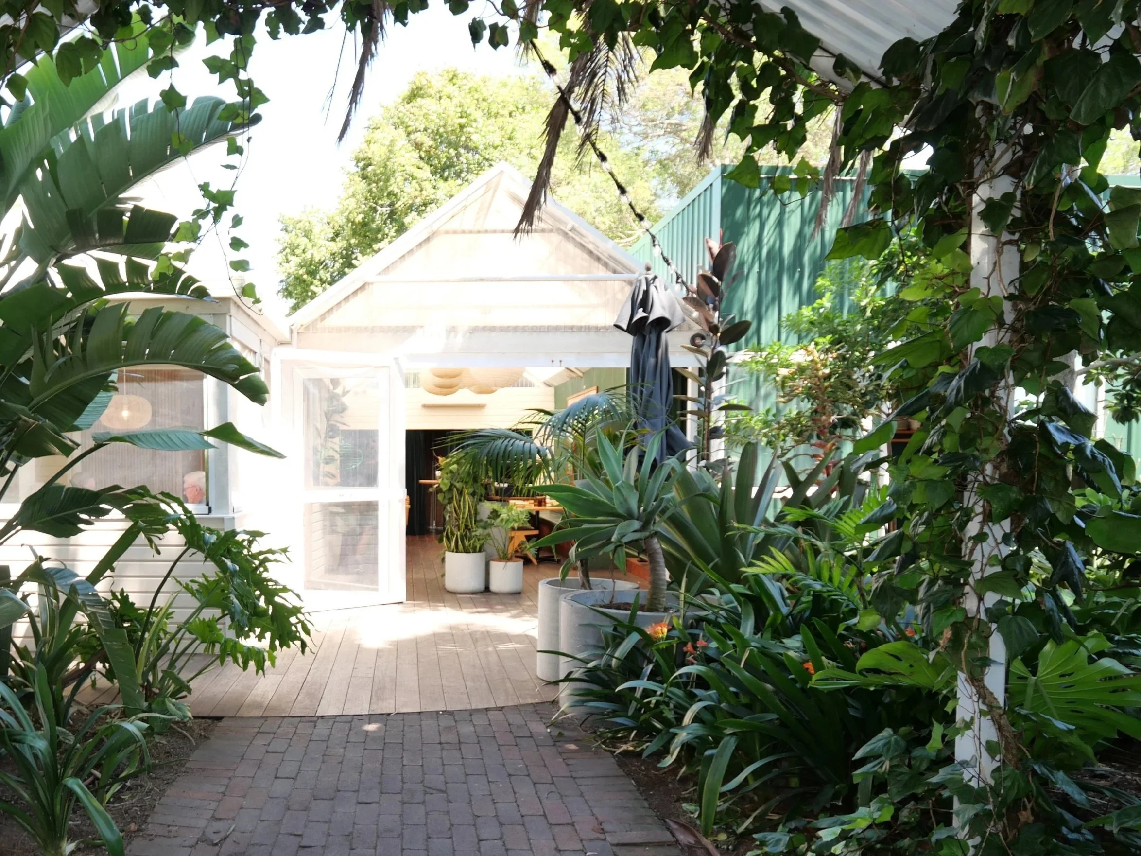 Tropical lush green garden design for 'Lantern' restaurant based in  in Papamoa, NZ, plant-filled courtyard framed by large tropical leaves on either side.