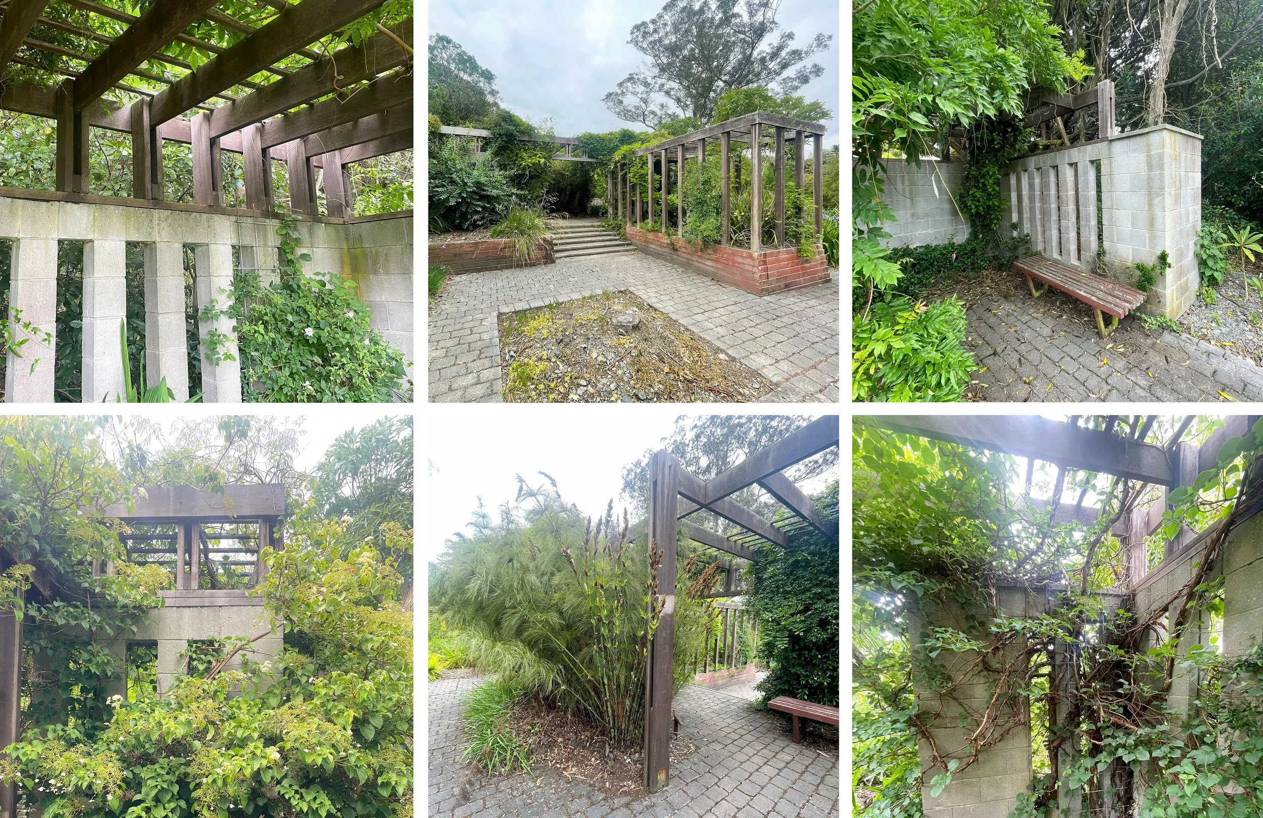 An interesting example of a historical brutalist style garden in Dunedin Botanic gardens with plants growing over the concrete and wooden structures