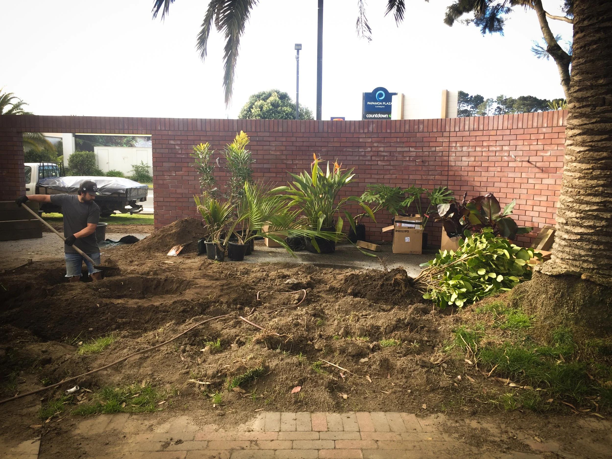 The making of a tropical courtyard garden, Papamoa NZ