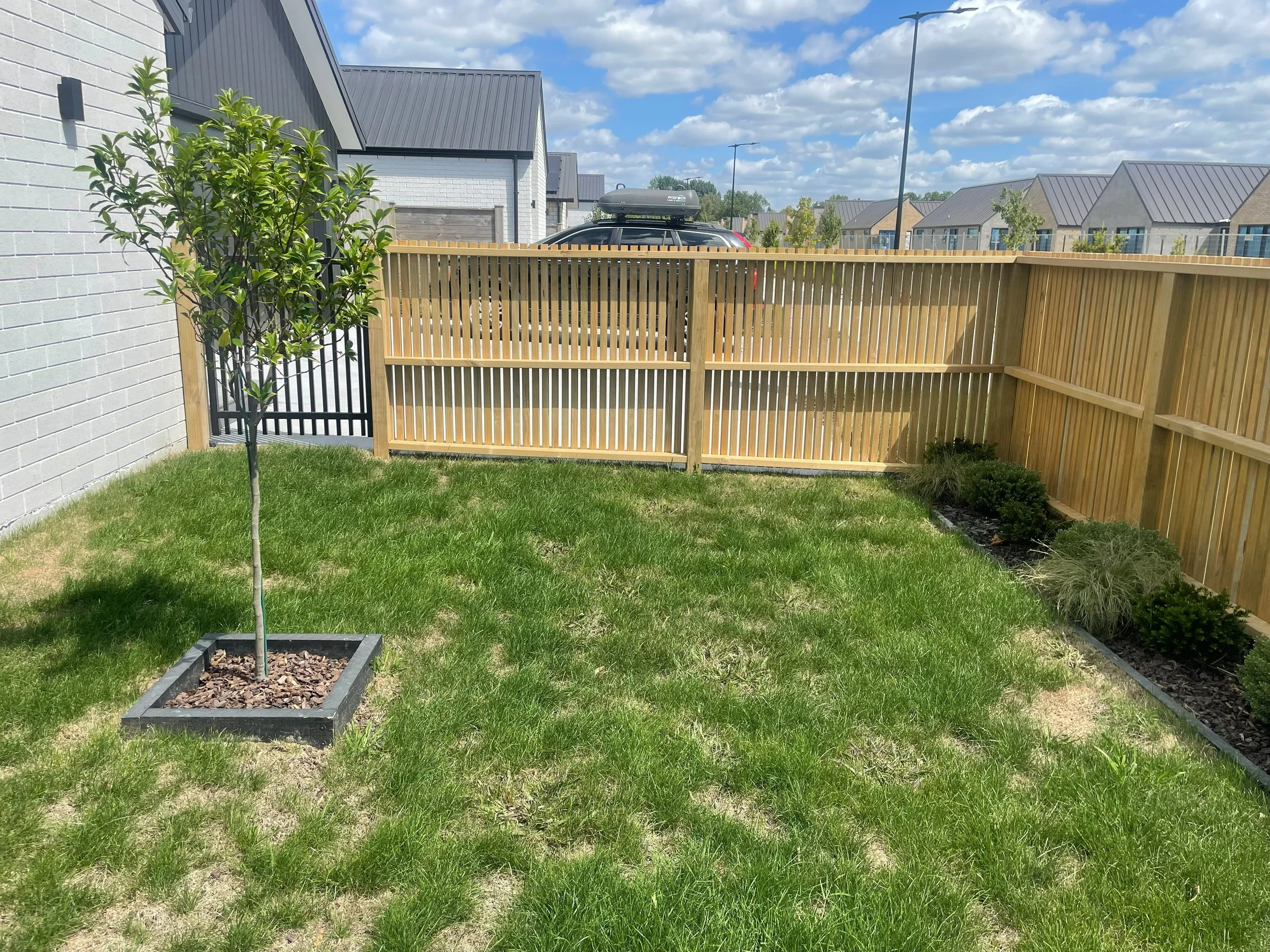 A backyard with a wooden fence, a small tree in a square planter, and a lawn. In the background, there are modern houses with gray roofs and a car parked outdoors. The sky is partly cloudy with patches of blue.