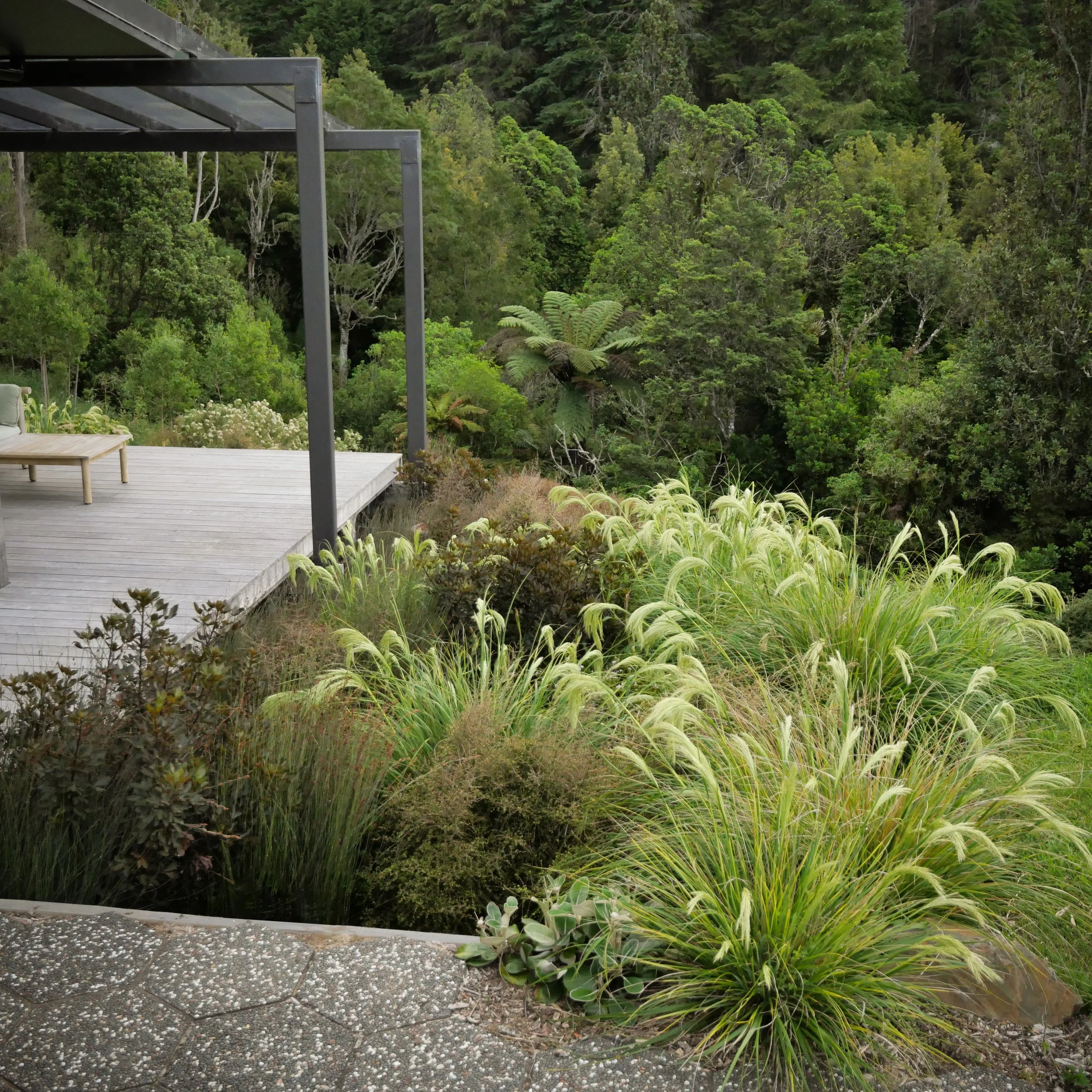 An architecturally designed, elevated, recycled Australian hardwood  deck that overlooks native bush, New Zealand