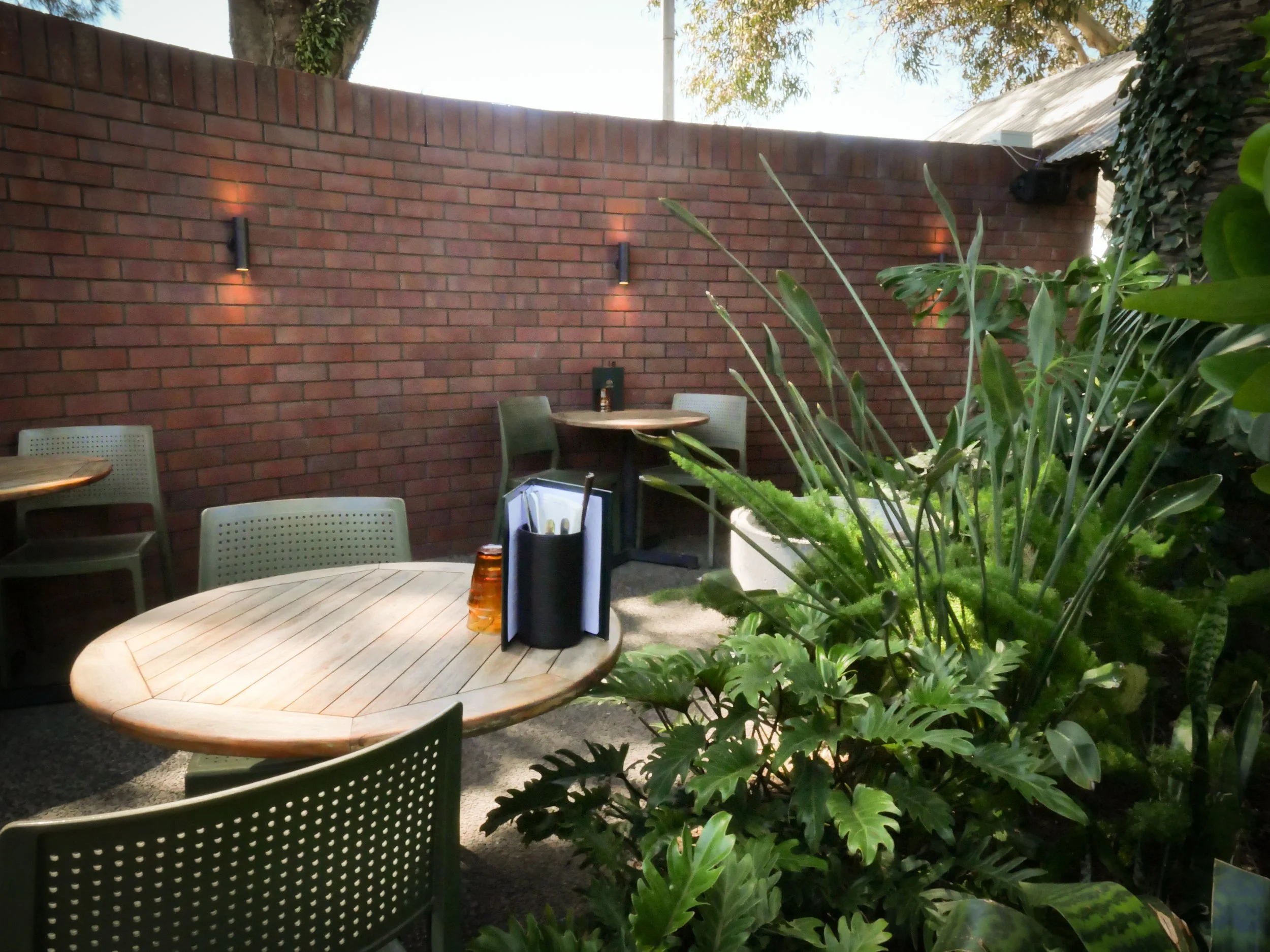 Tropical lush green courtyard garden design for 'Lantern' restaurant based in  in Papamoa, NZ, plant-filled courtyard with seated areas framed by large tropical Trees and plants including NZ Natives.