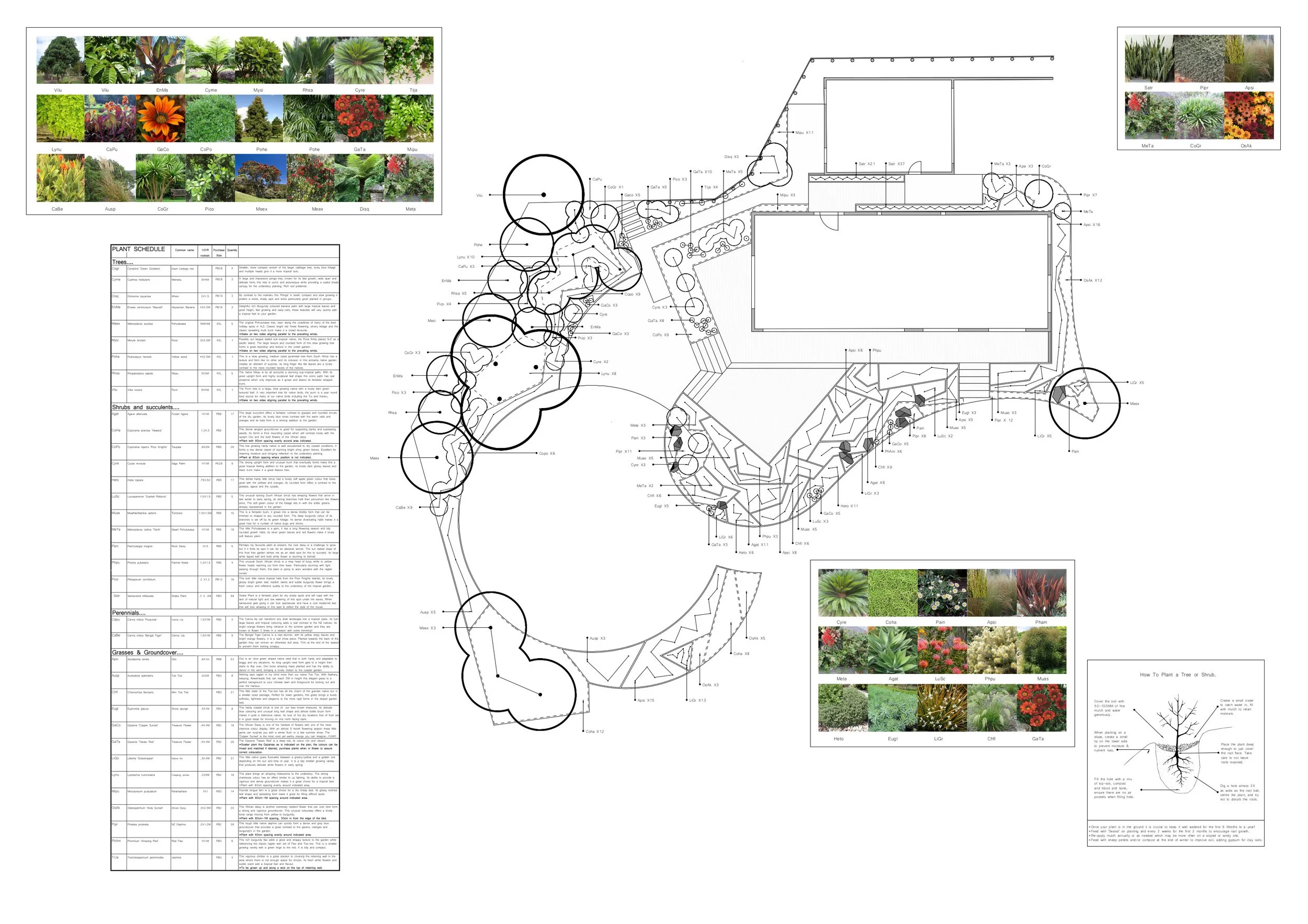 Detailed landscape design plan for a garden with sections of plant images, a tree planting guide, and ground cover instructions.
