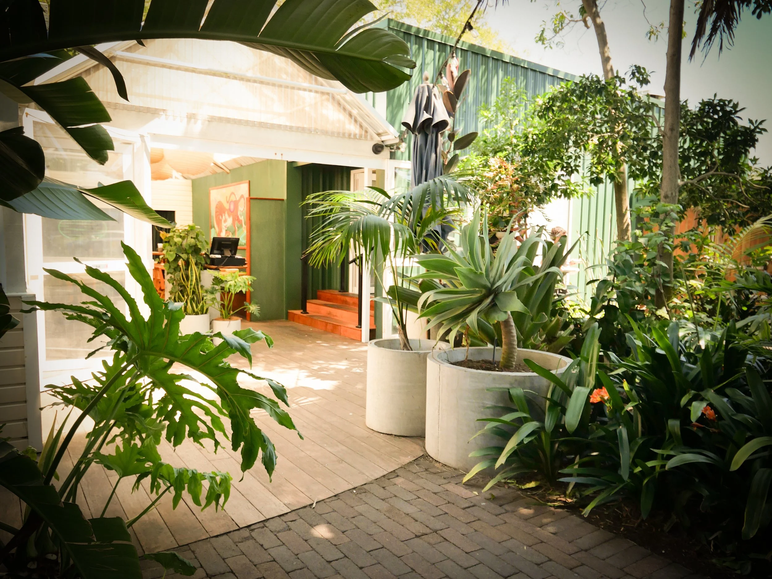 Tropical lush green garden design for 'Lantern' restaurant based in  in Papamoa, NZ, plant-filled courtyard with seated areas framed by large tropical Trees and plants including NZ Natives.