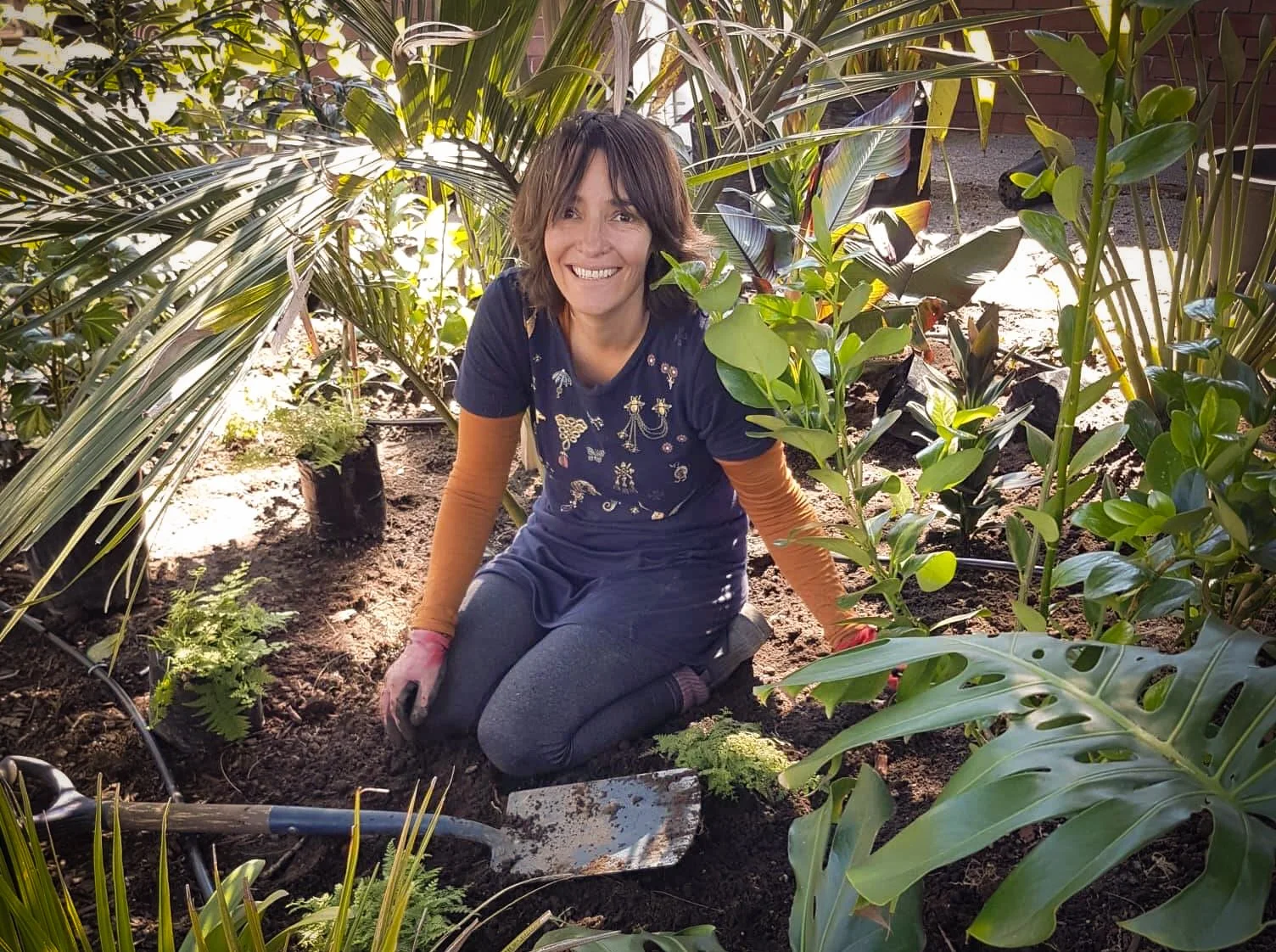 The making of a tropical courtyard garden, Papamoa NZ