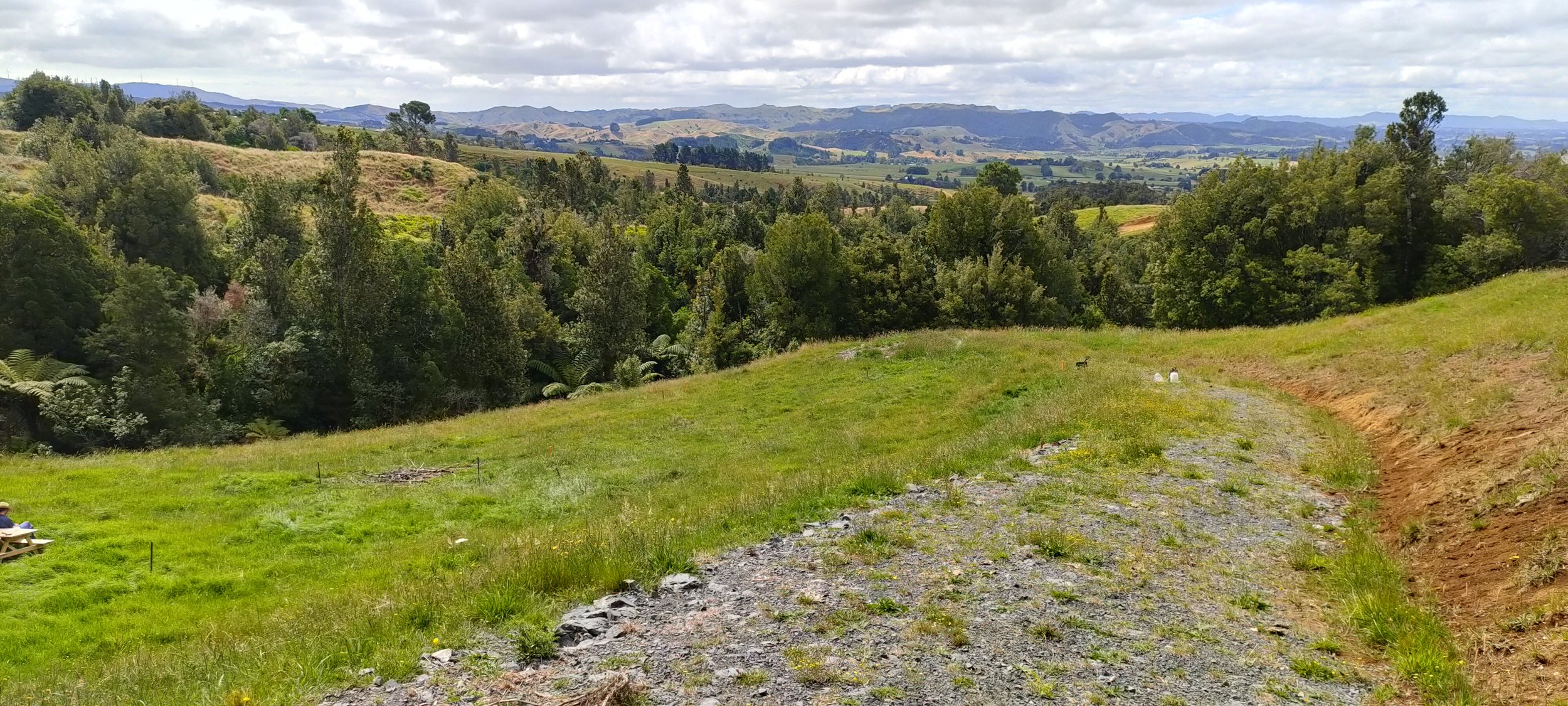 Rolling hills with lush green trees and grass under a partly cloudy sky, with a dirt path in the foreground.